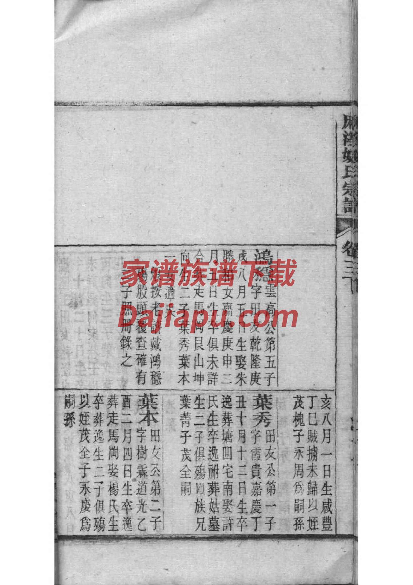 陈姓氏家谱与字辈