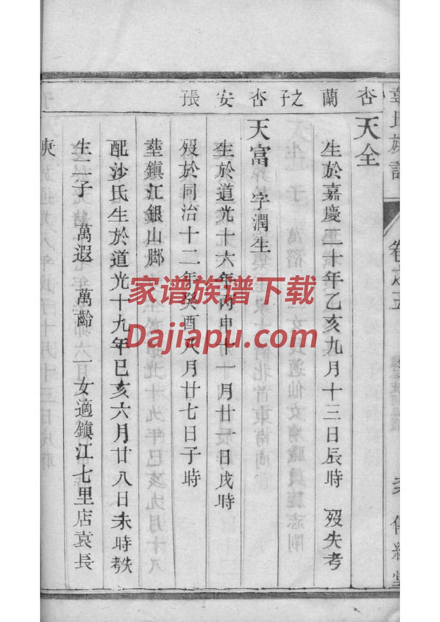 何氏家谱起名