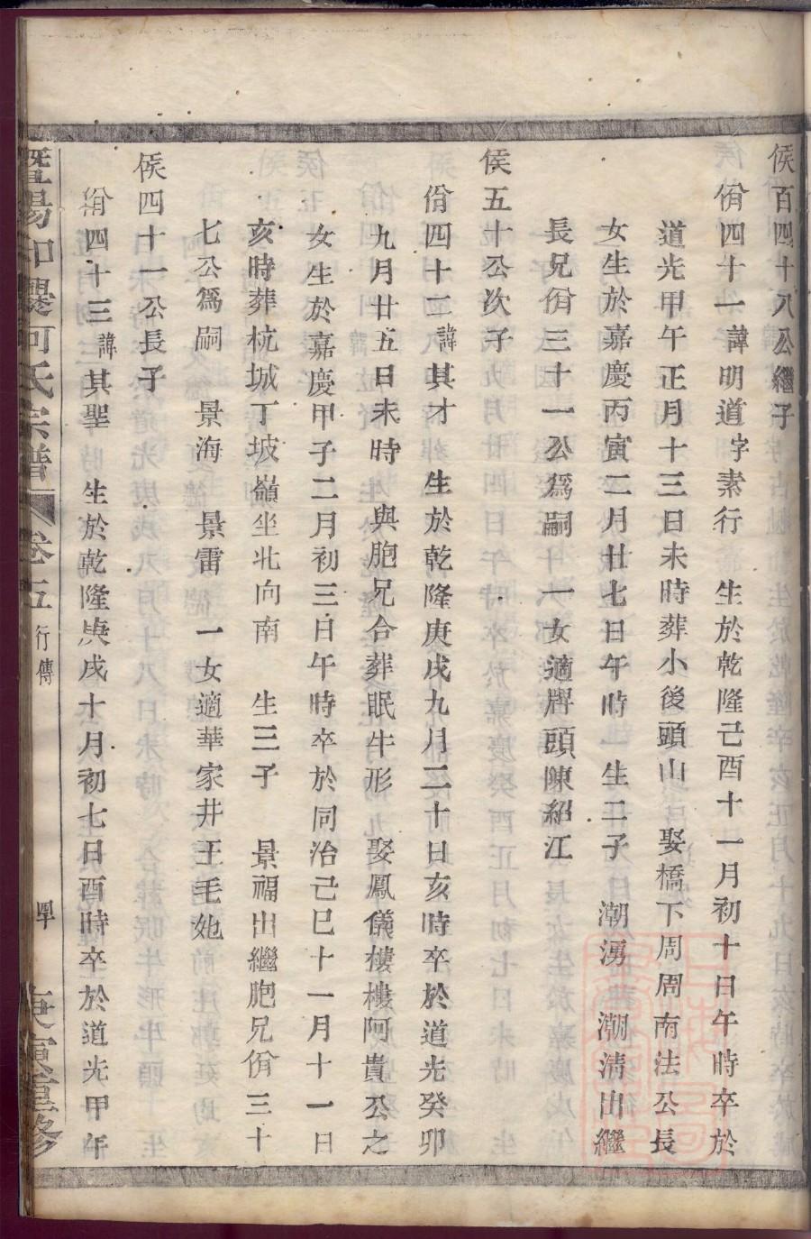 电子版家谱表格下载