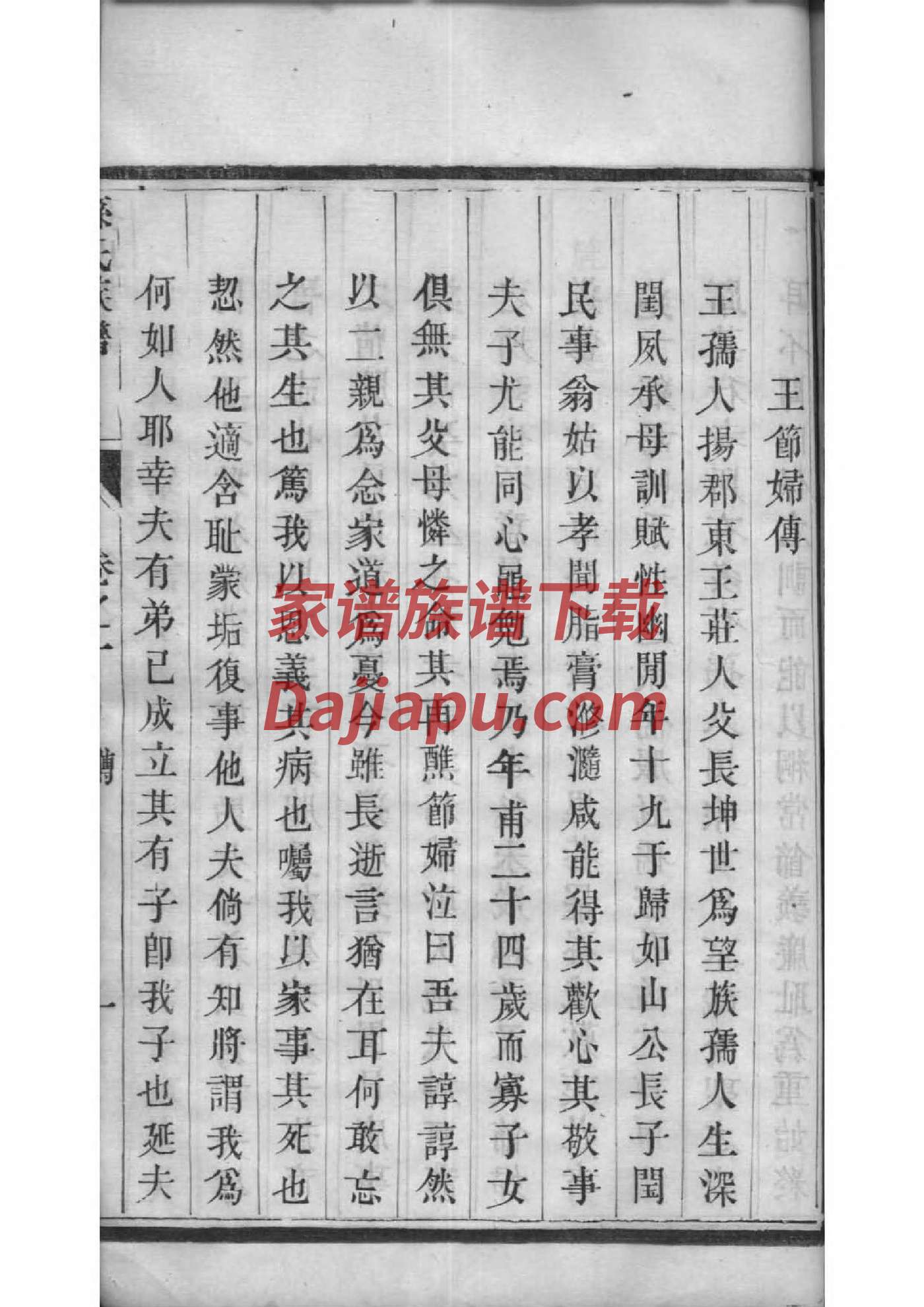 家谱免费下载