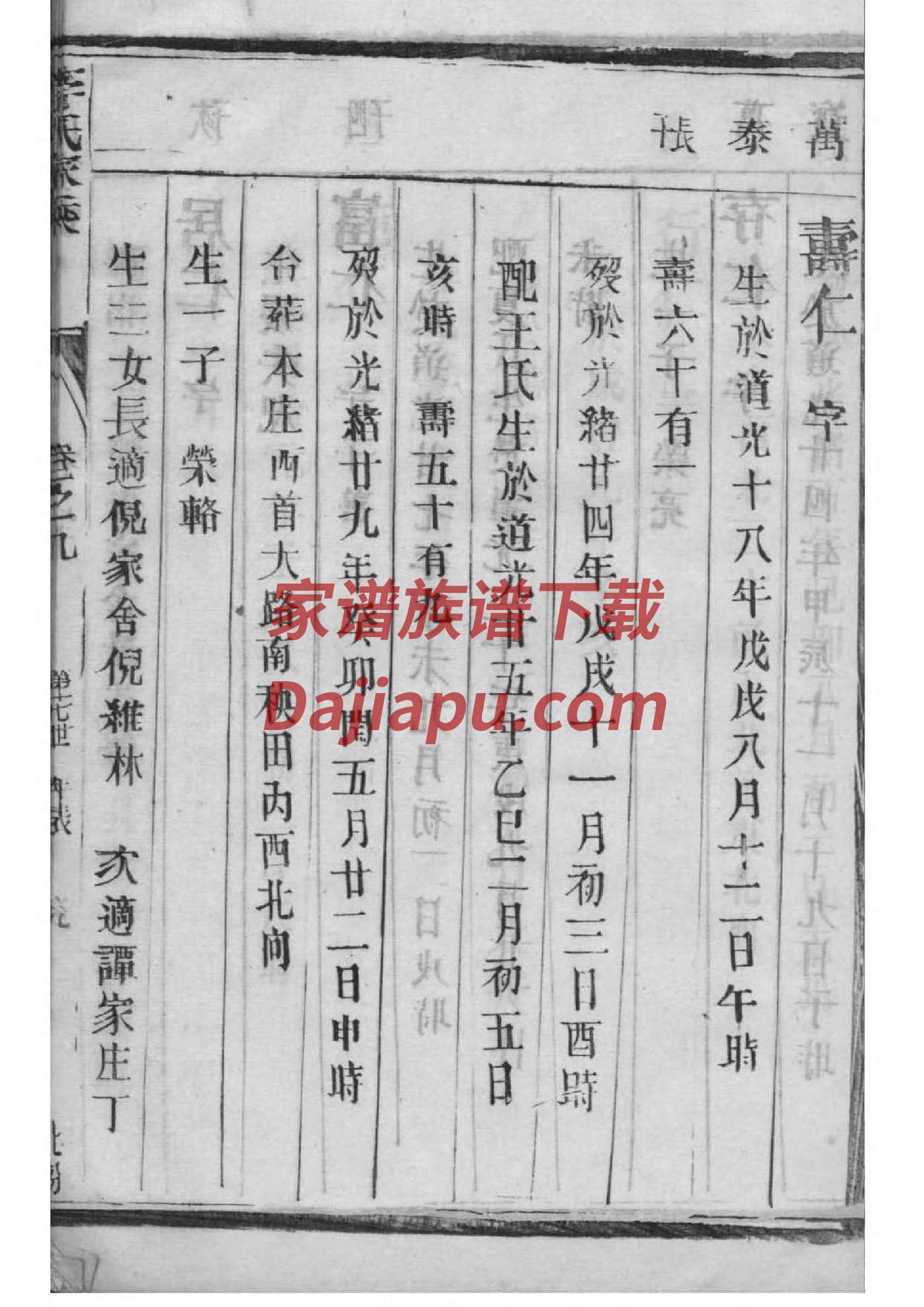 乙氏家谱查询一览表