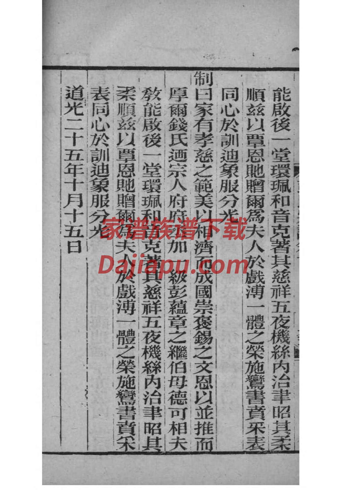 区氏家谱族谱数据库