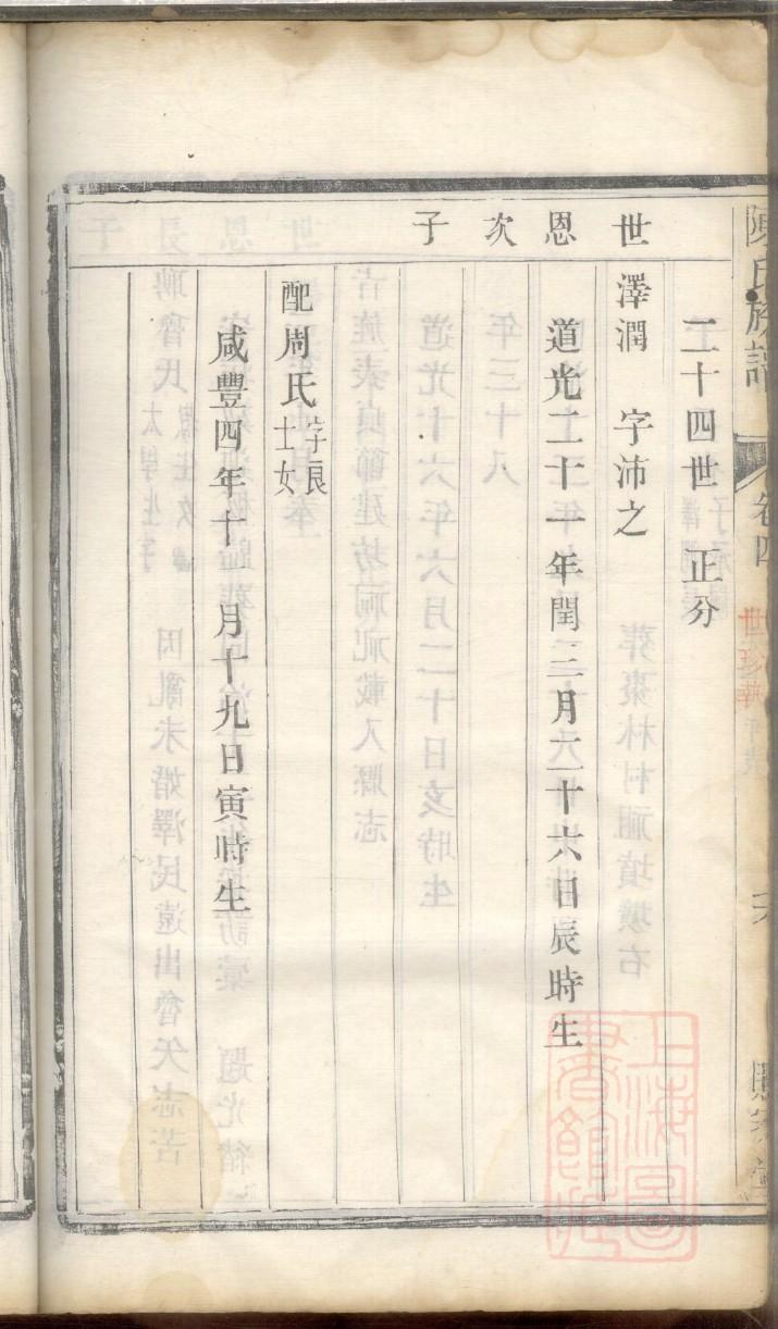 赛氏族谱电子版下载阅读