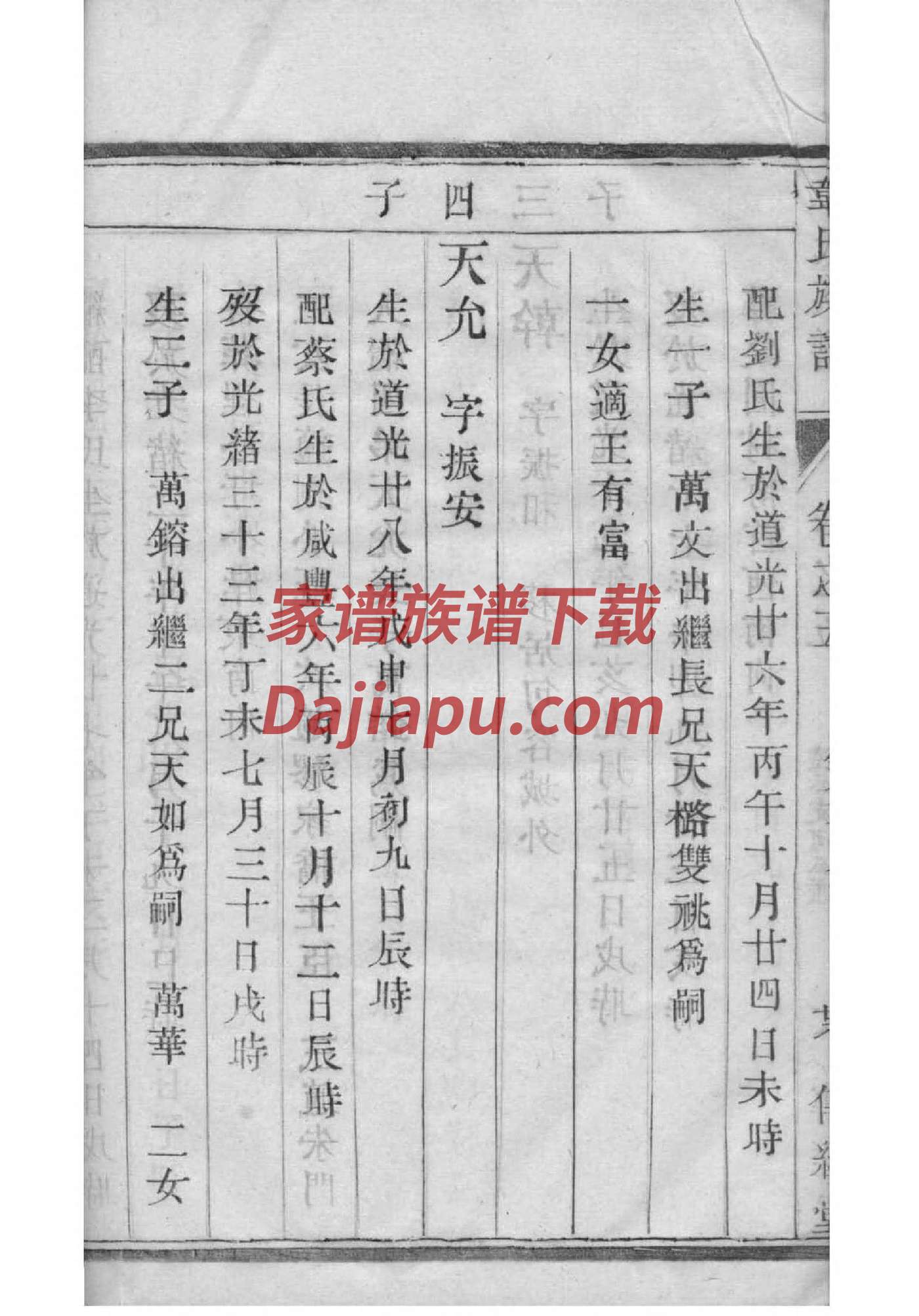 绍氏免费查家谱族谱
