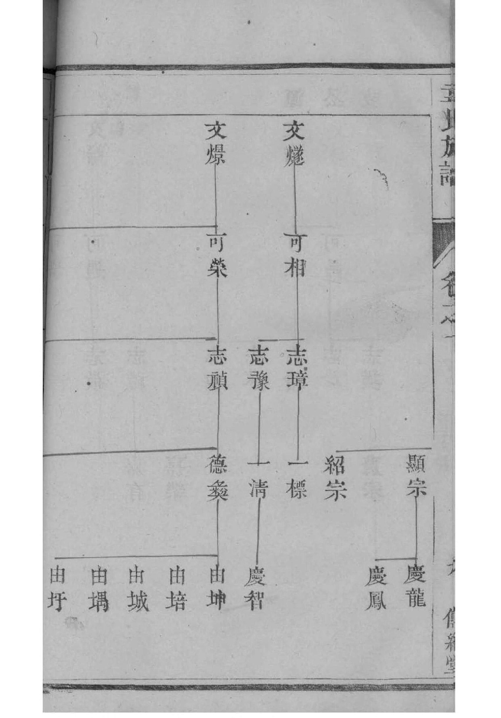 井氏族谱家谱