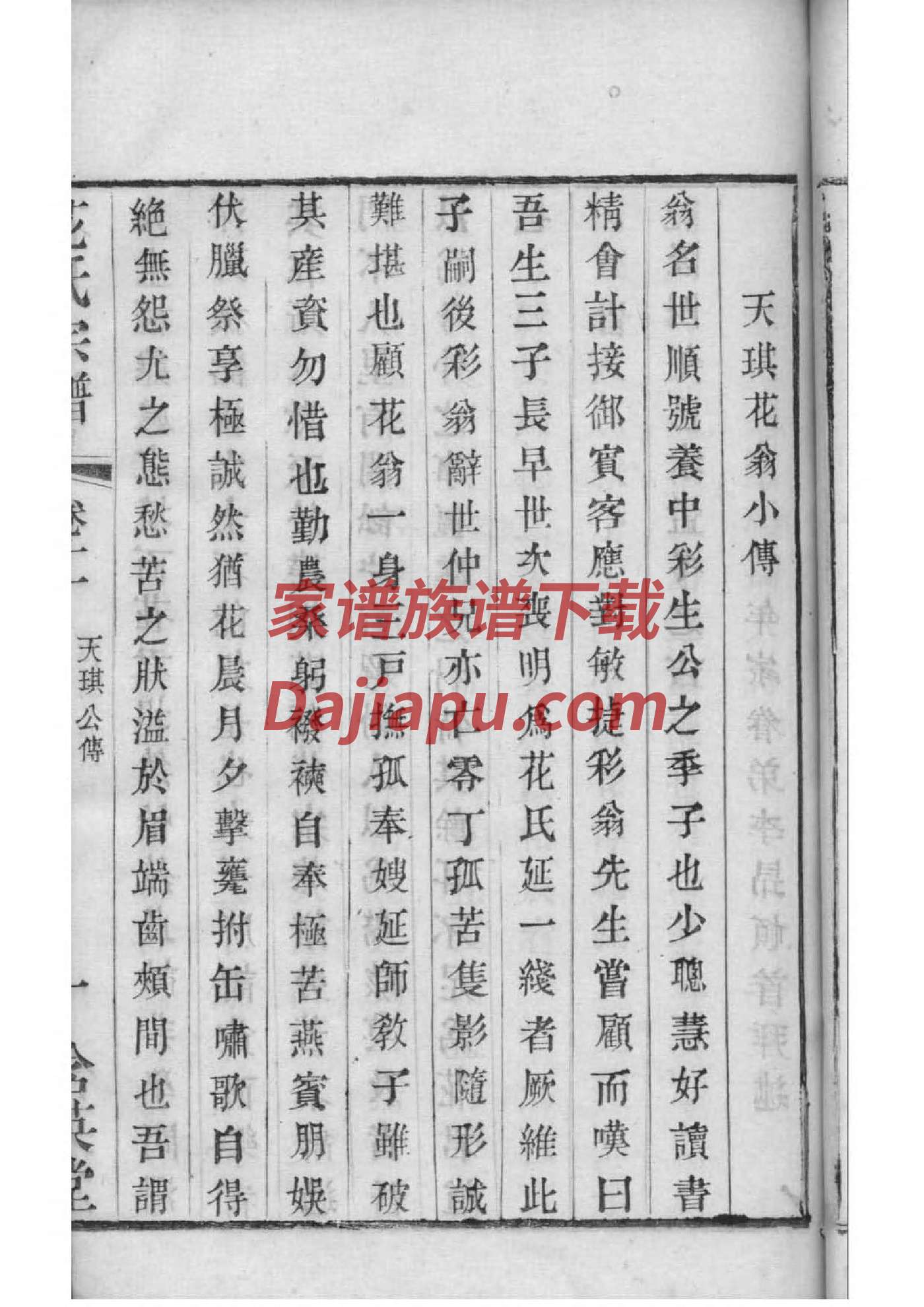 罗氏族谱网