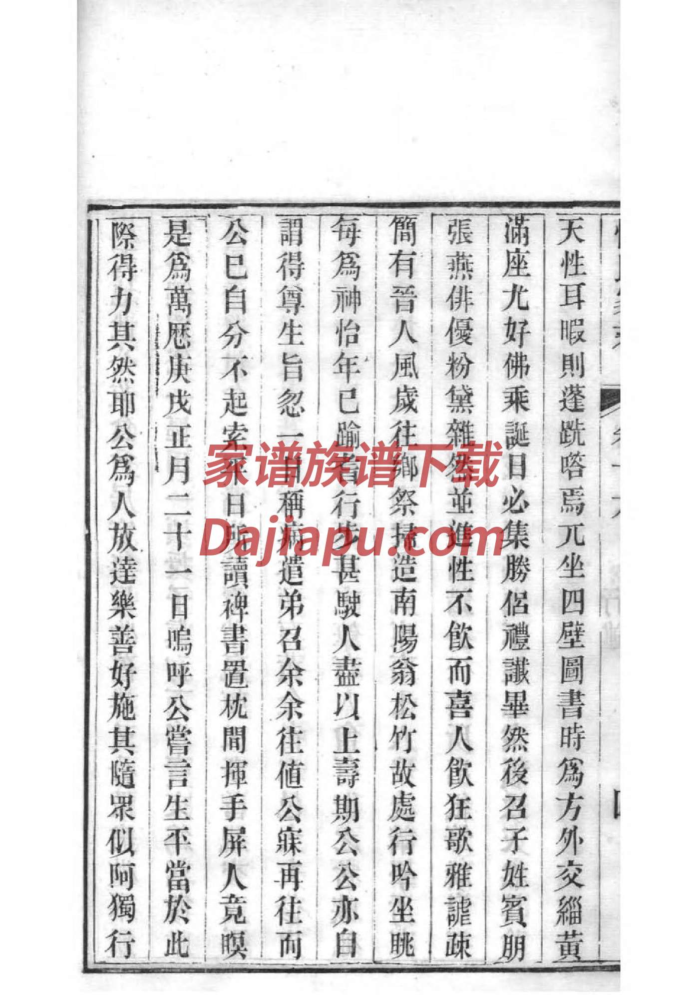 念姓辈分排行世系表