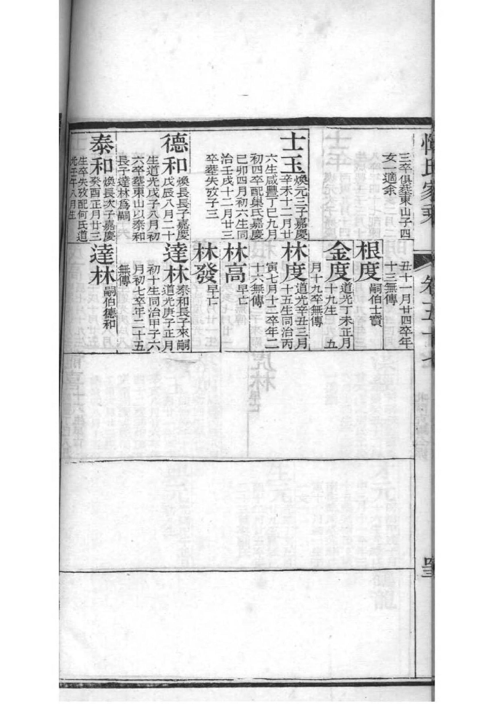 电子族谱软件