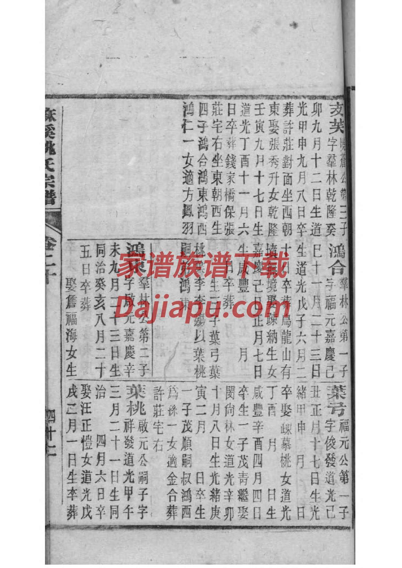 拓姓免费查自己家谱