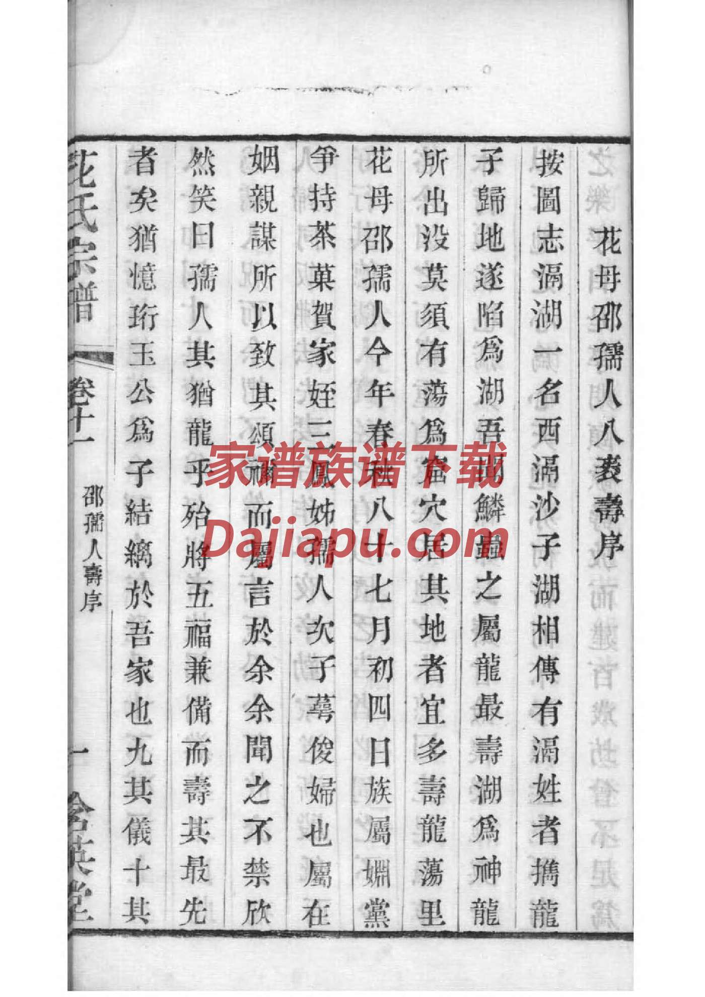 舒字家谱