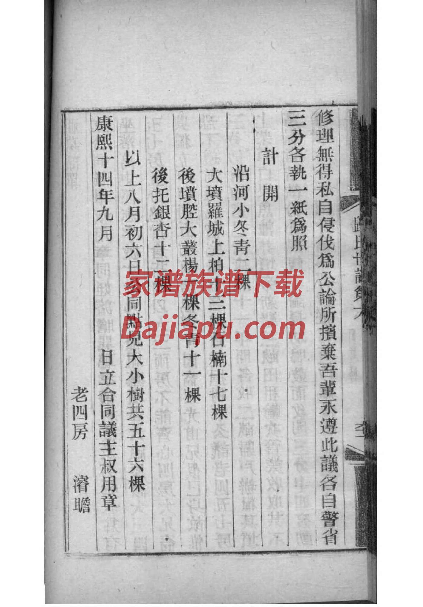 苏氏家谱在线回答