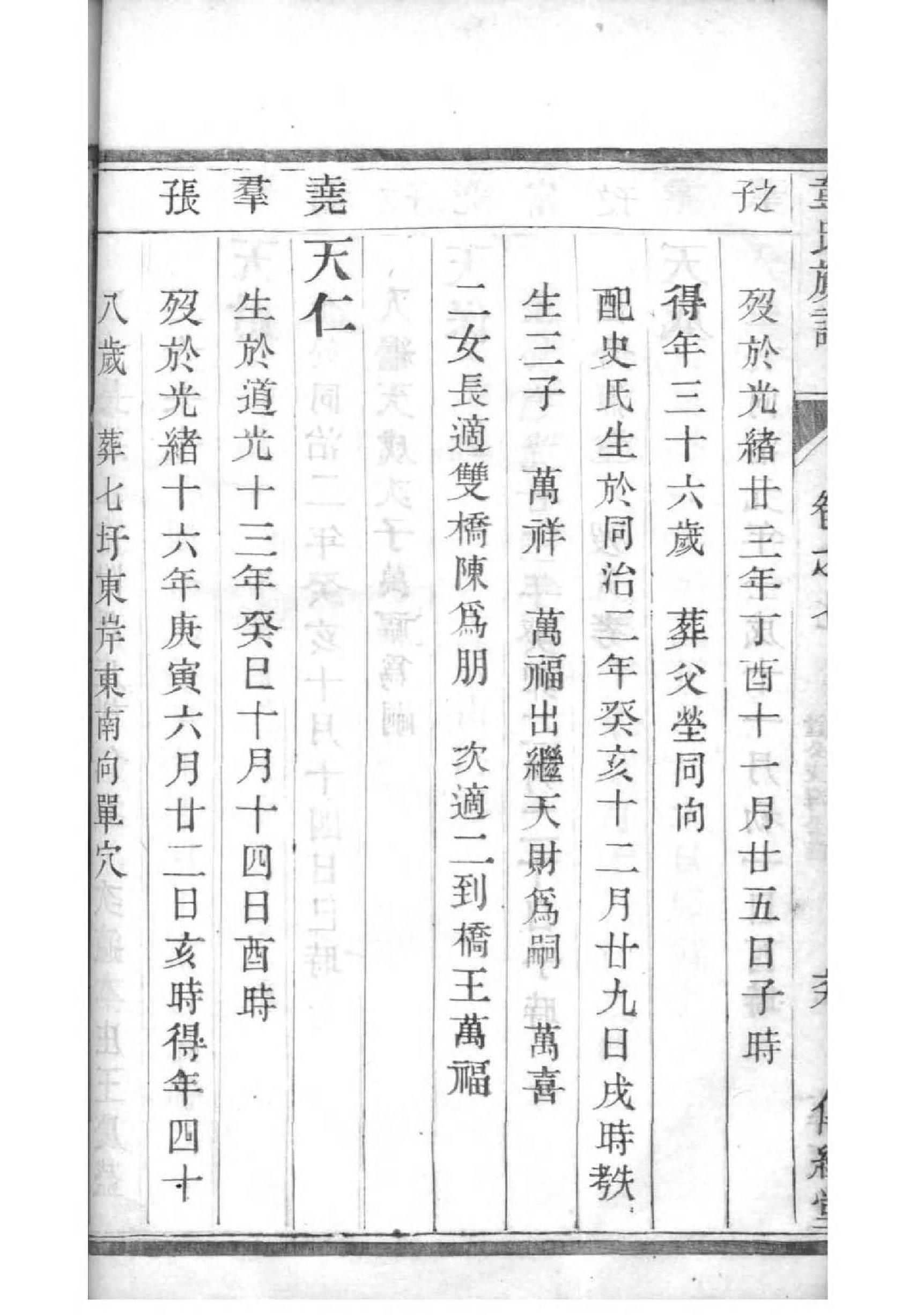 家谱精选