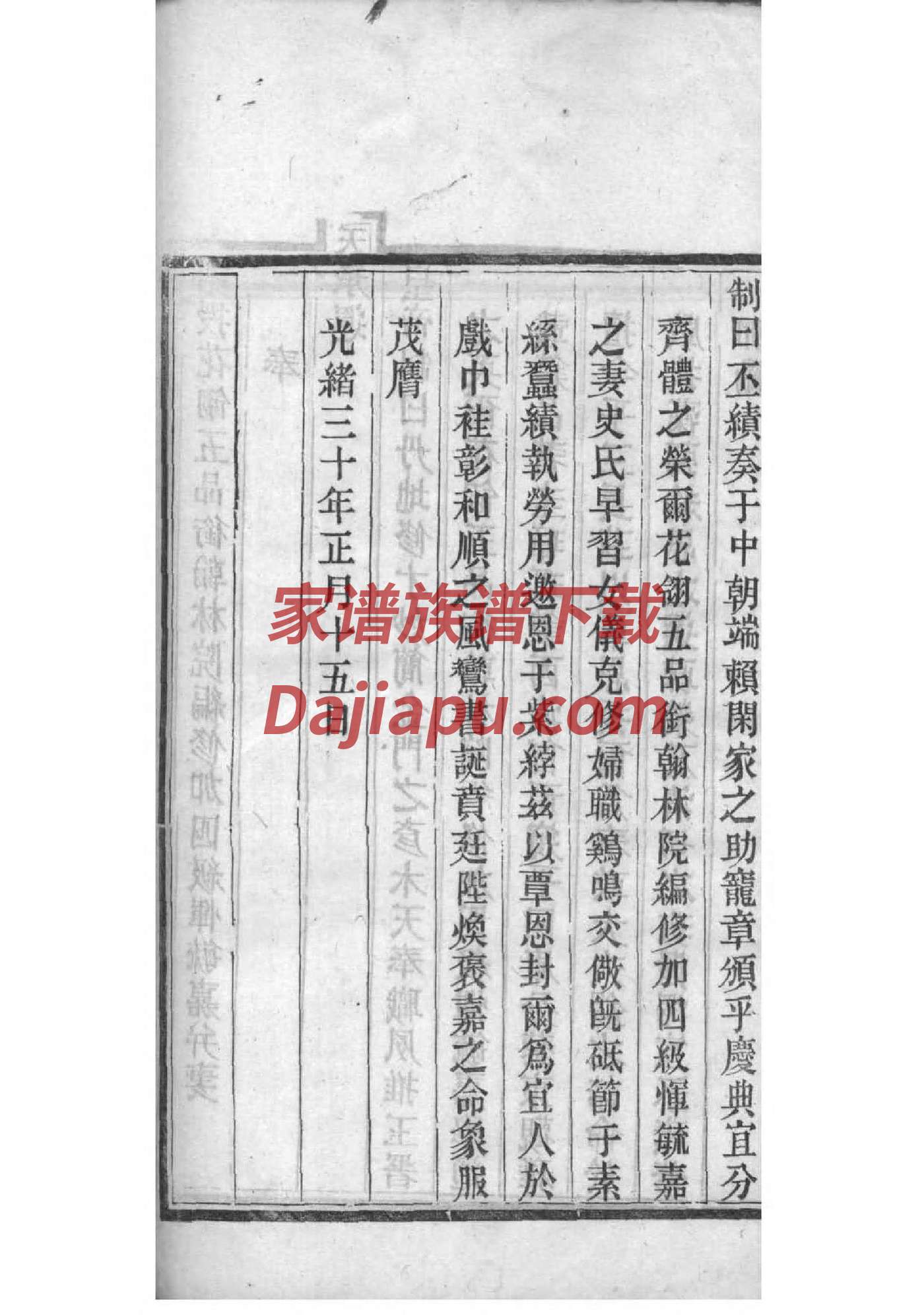 金家家谱