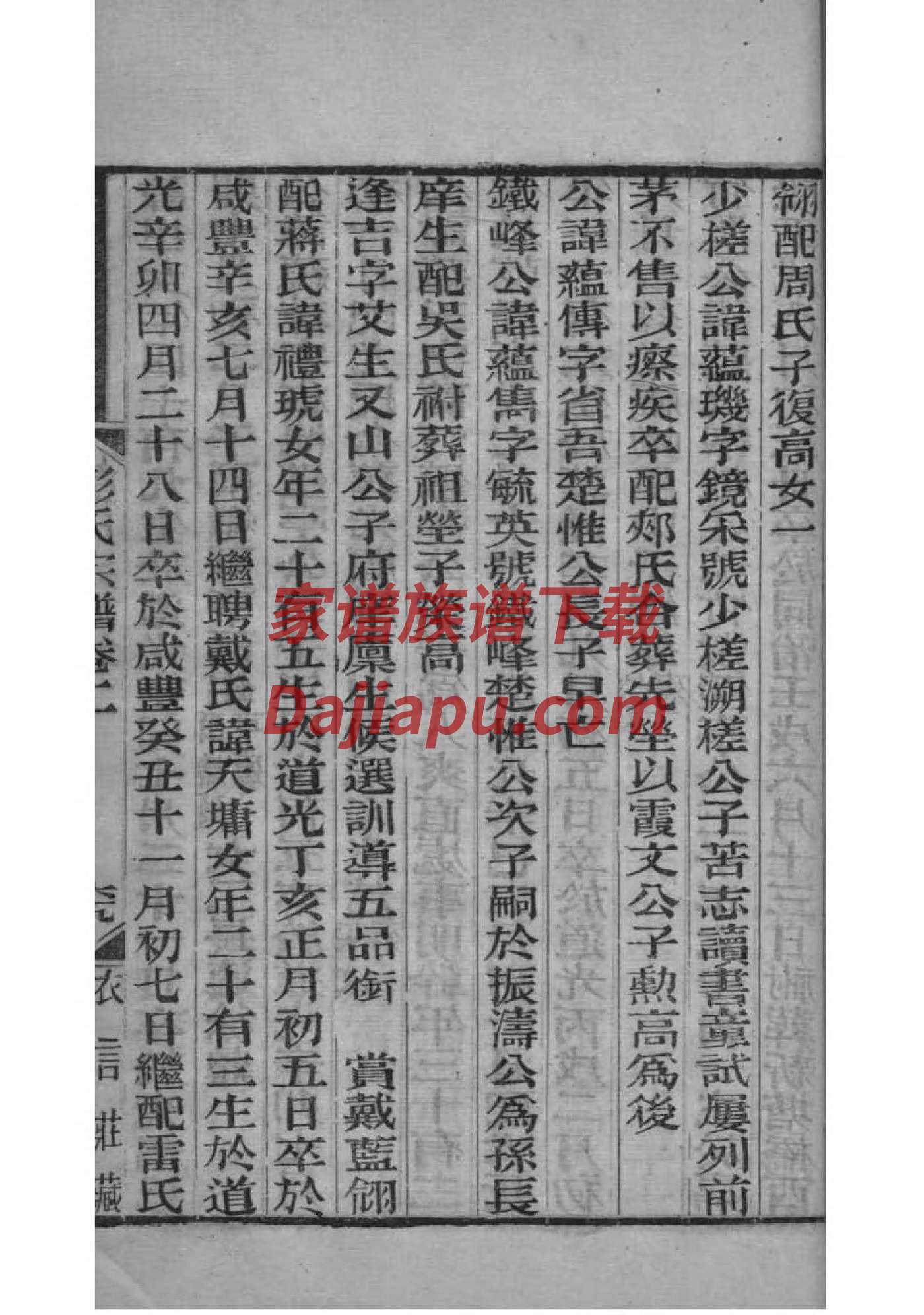 家谱表手绘