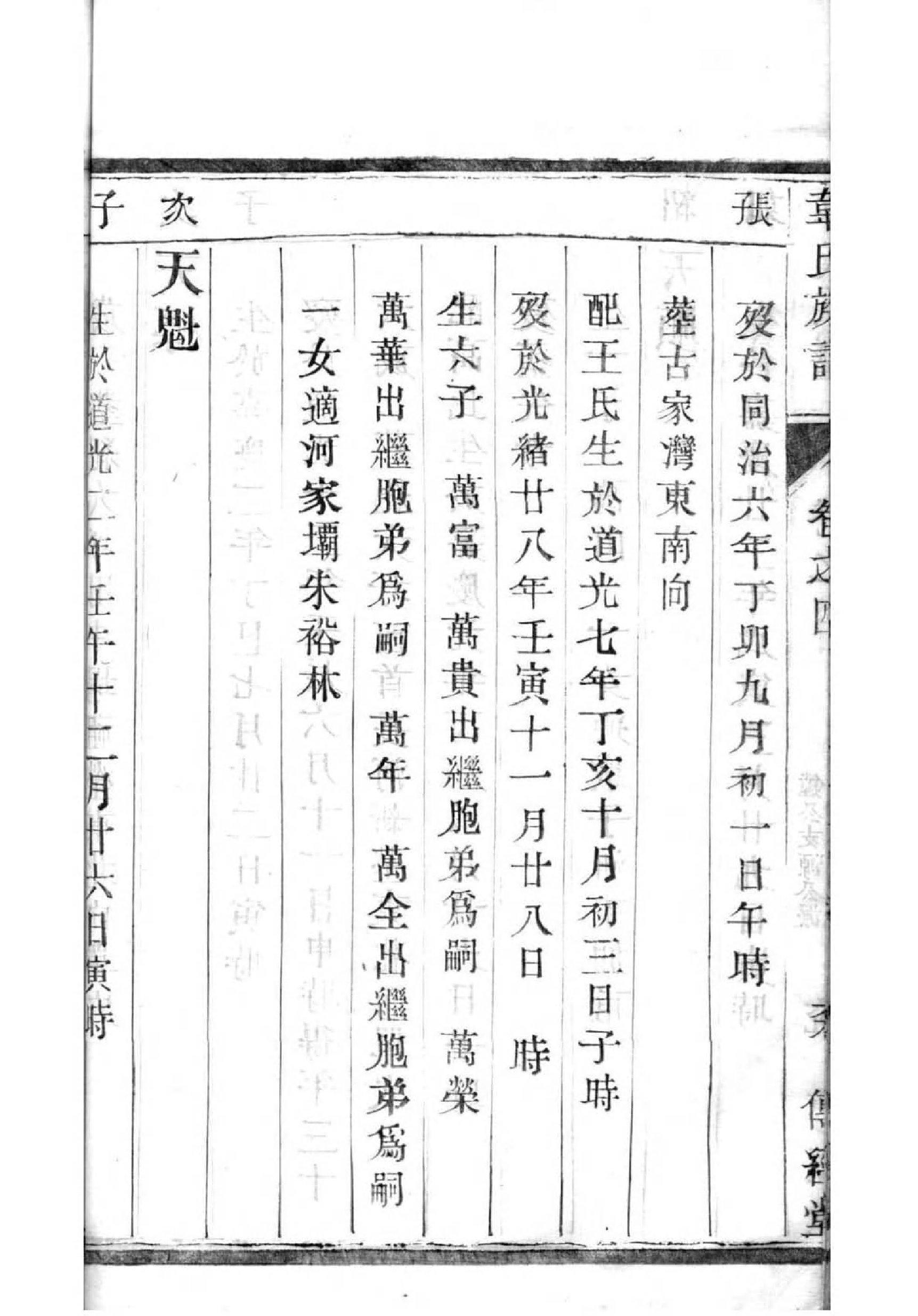 家谱设计软件