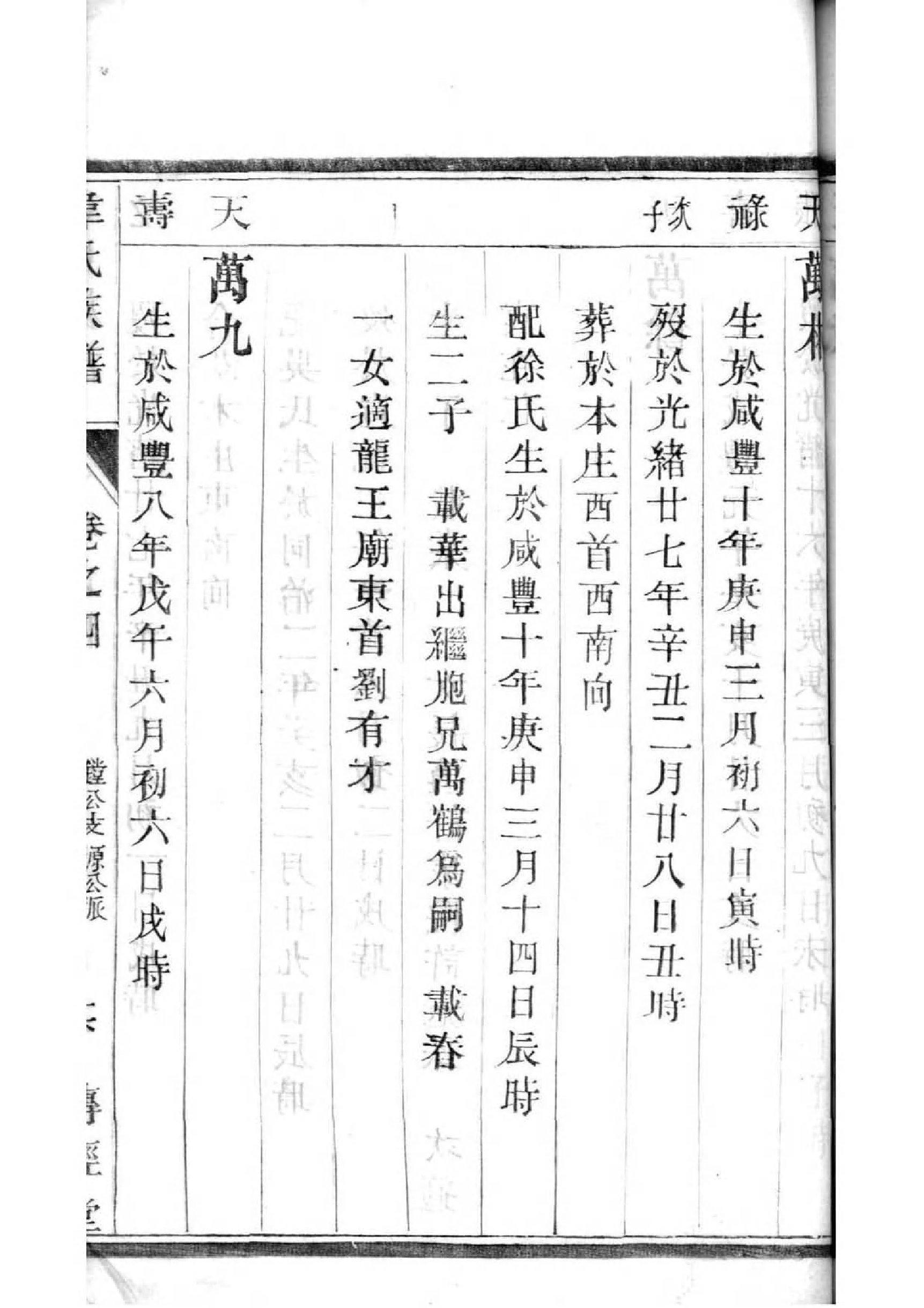 家谱查询APP