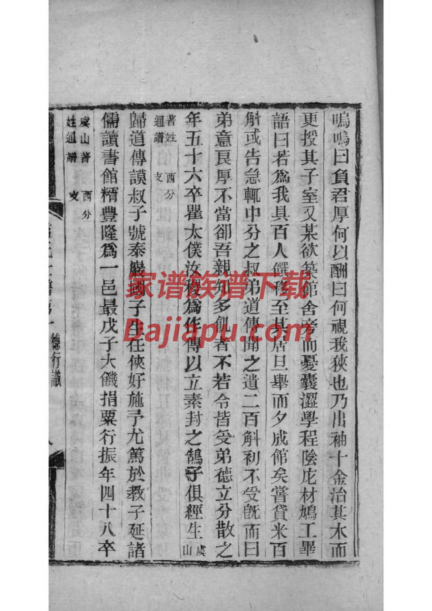 定姓族谱字辈排行