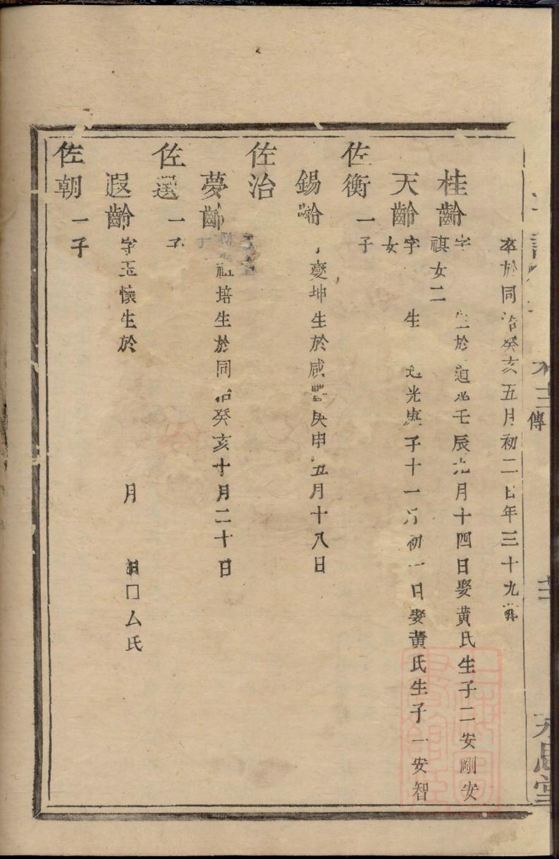 家谱名字怎么起名字