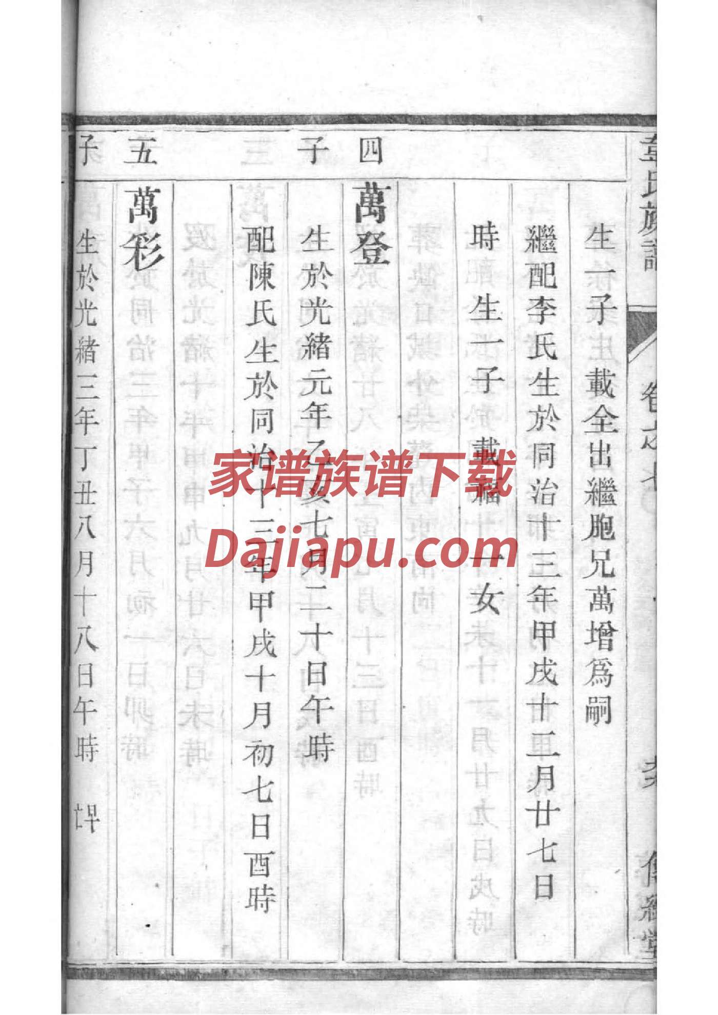 张家家谱全部的善字辈