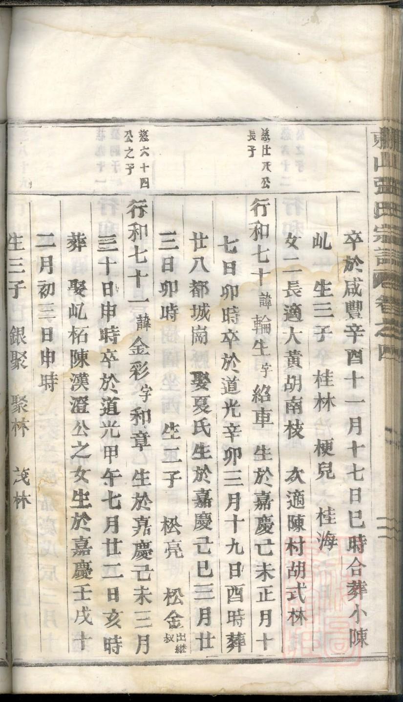 家谱有什么称呼