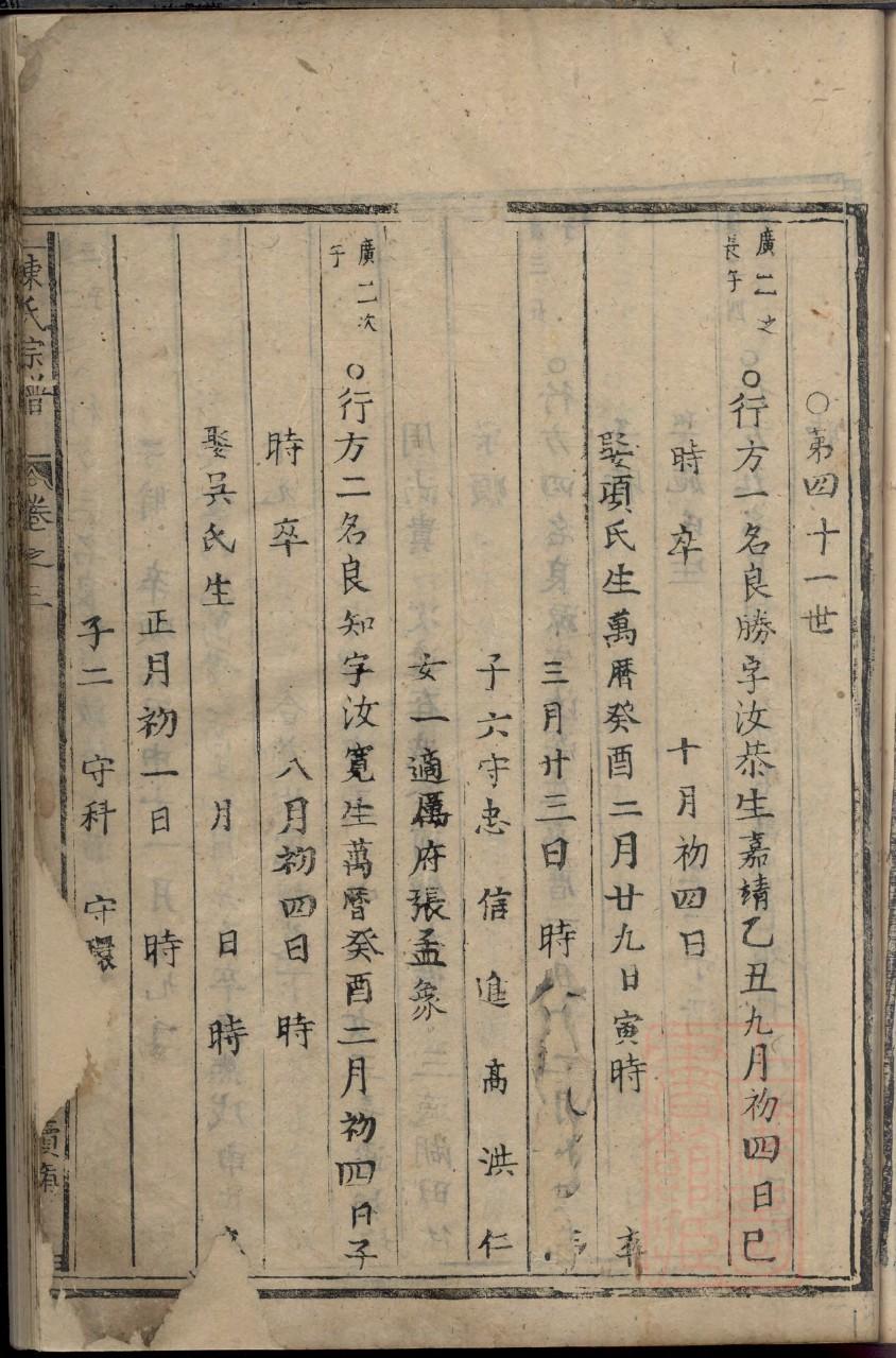 巢氏的起源