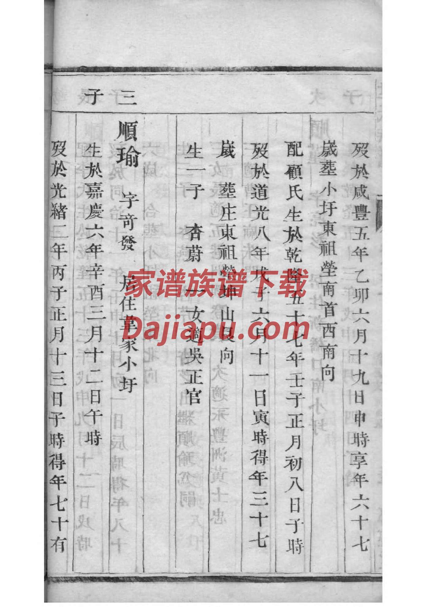 真氏族谱电子版下载阅读