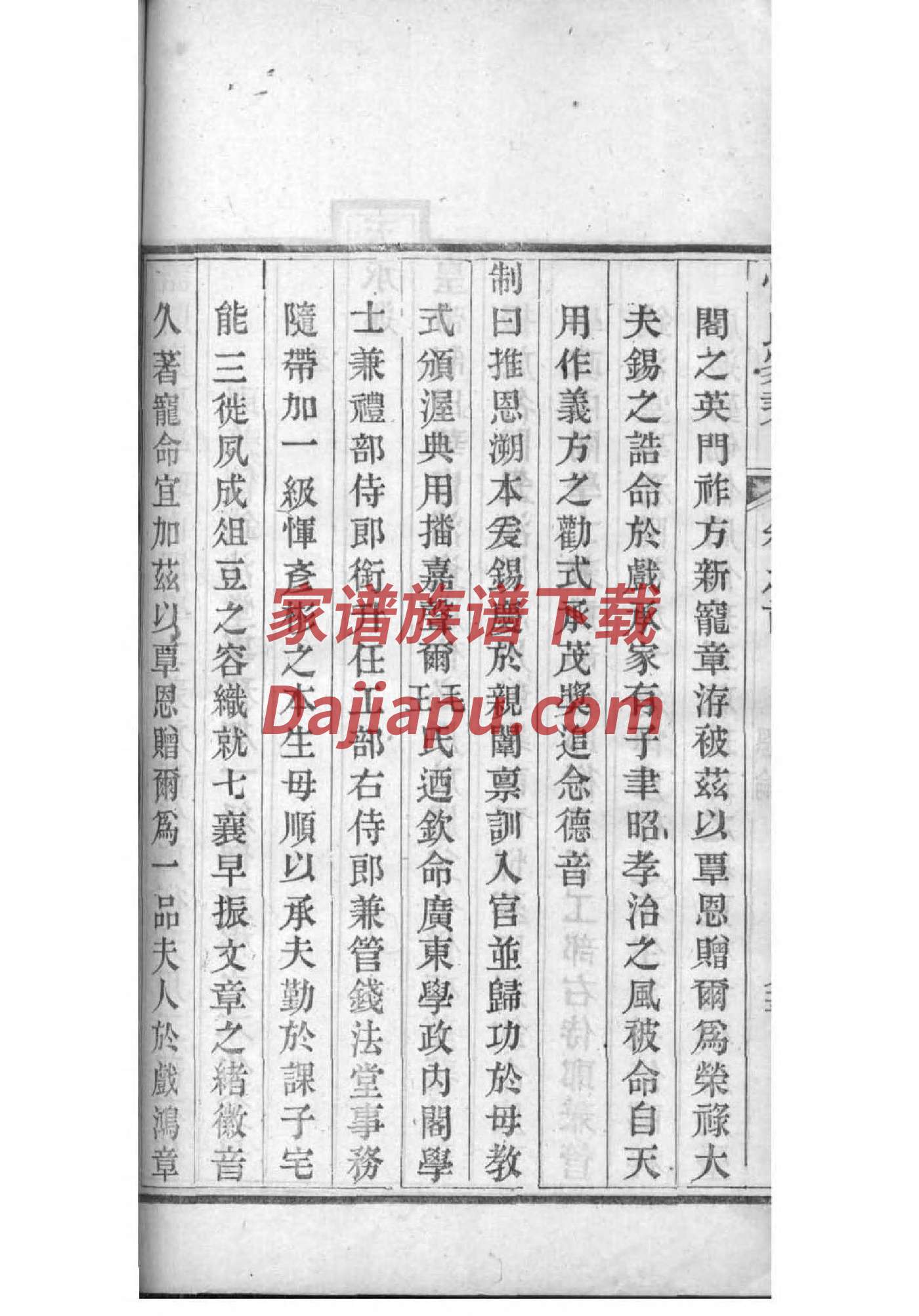 耶稣的家谱讲解