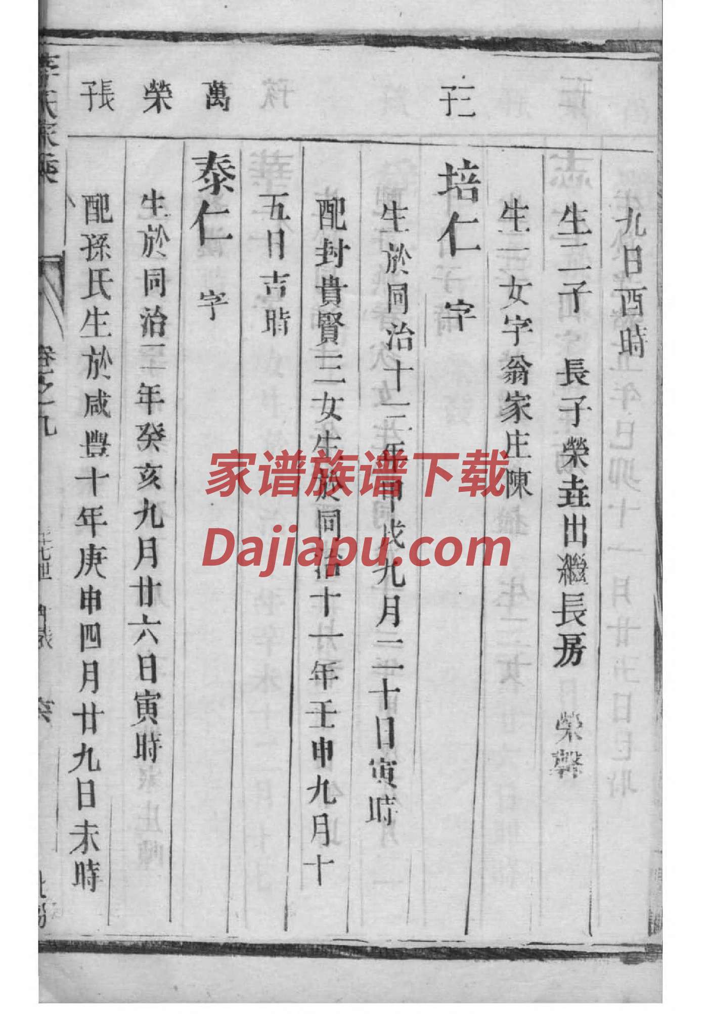 熊氏家谱族谱数据库