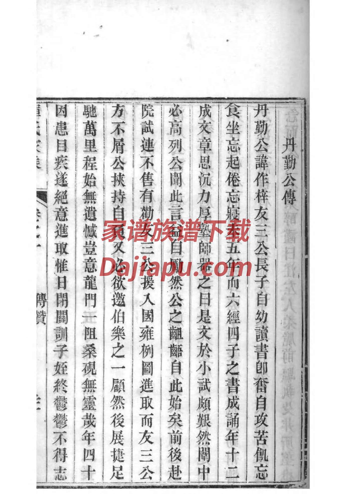 岳飞家谱字辈大全