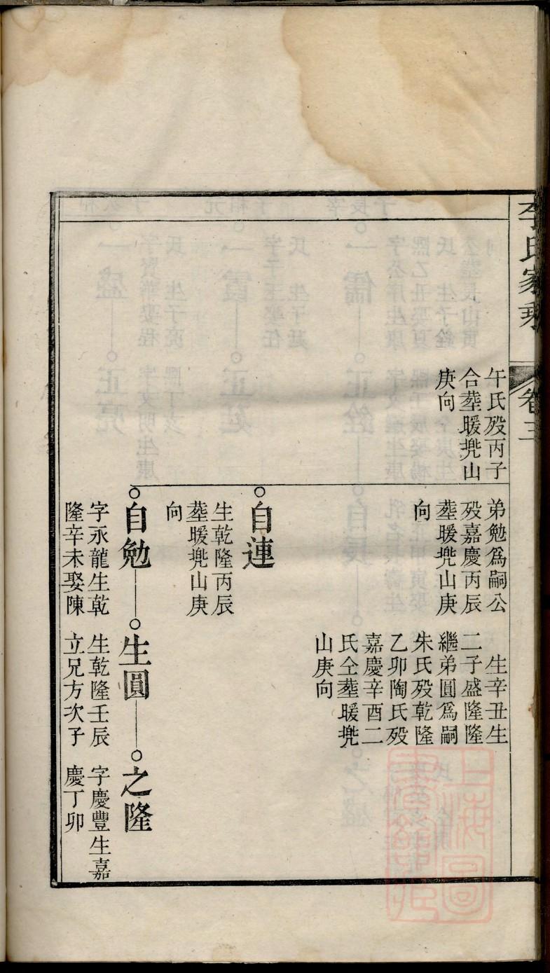皮氏的起源
