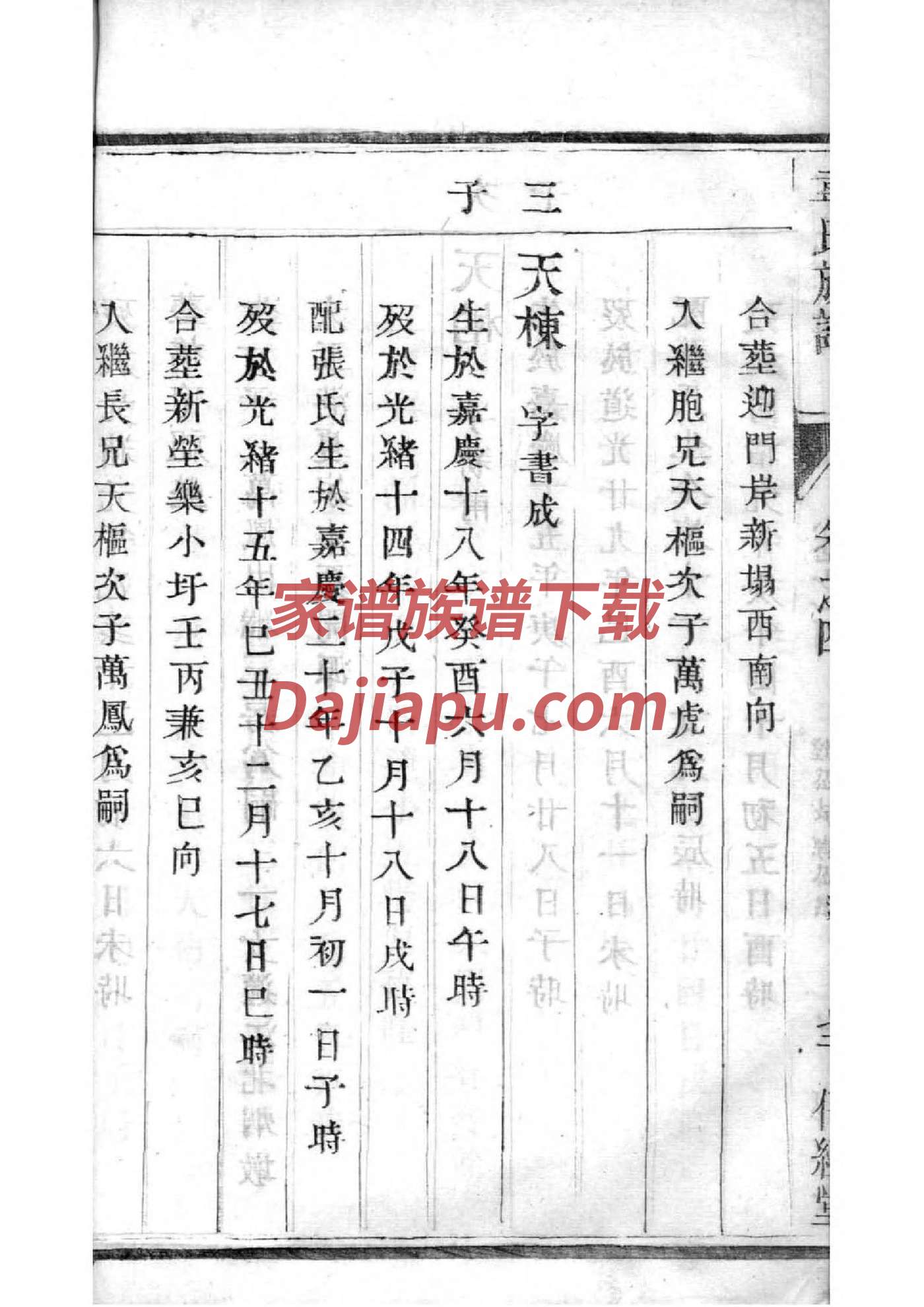 毛氏族谱在哪里