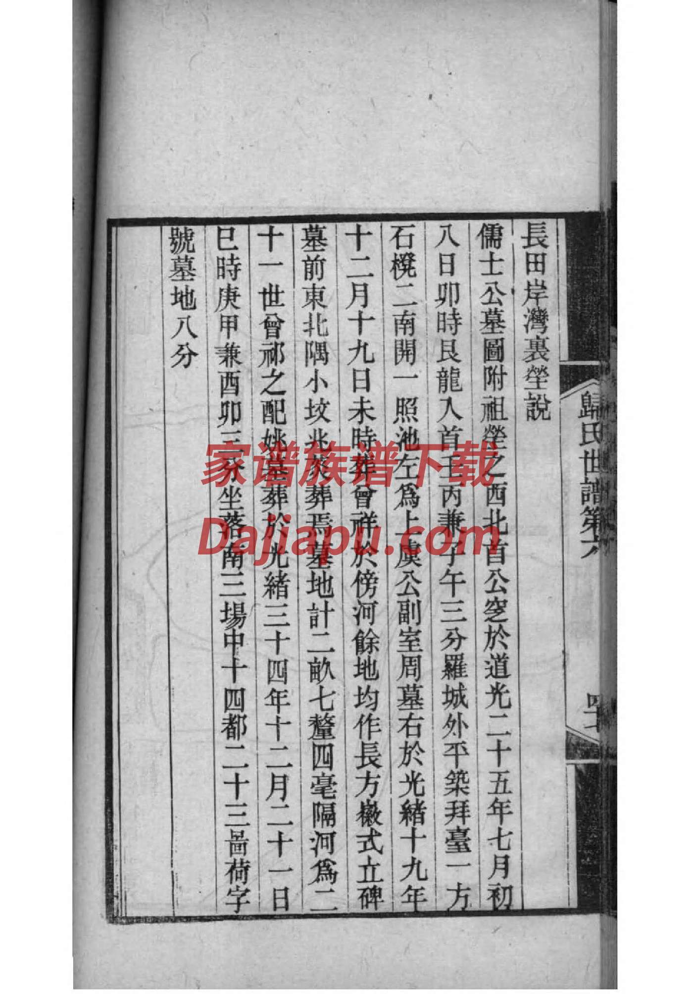 代姓族谱字辈查询全部