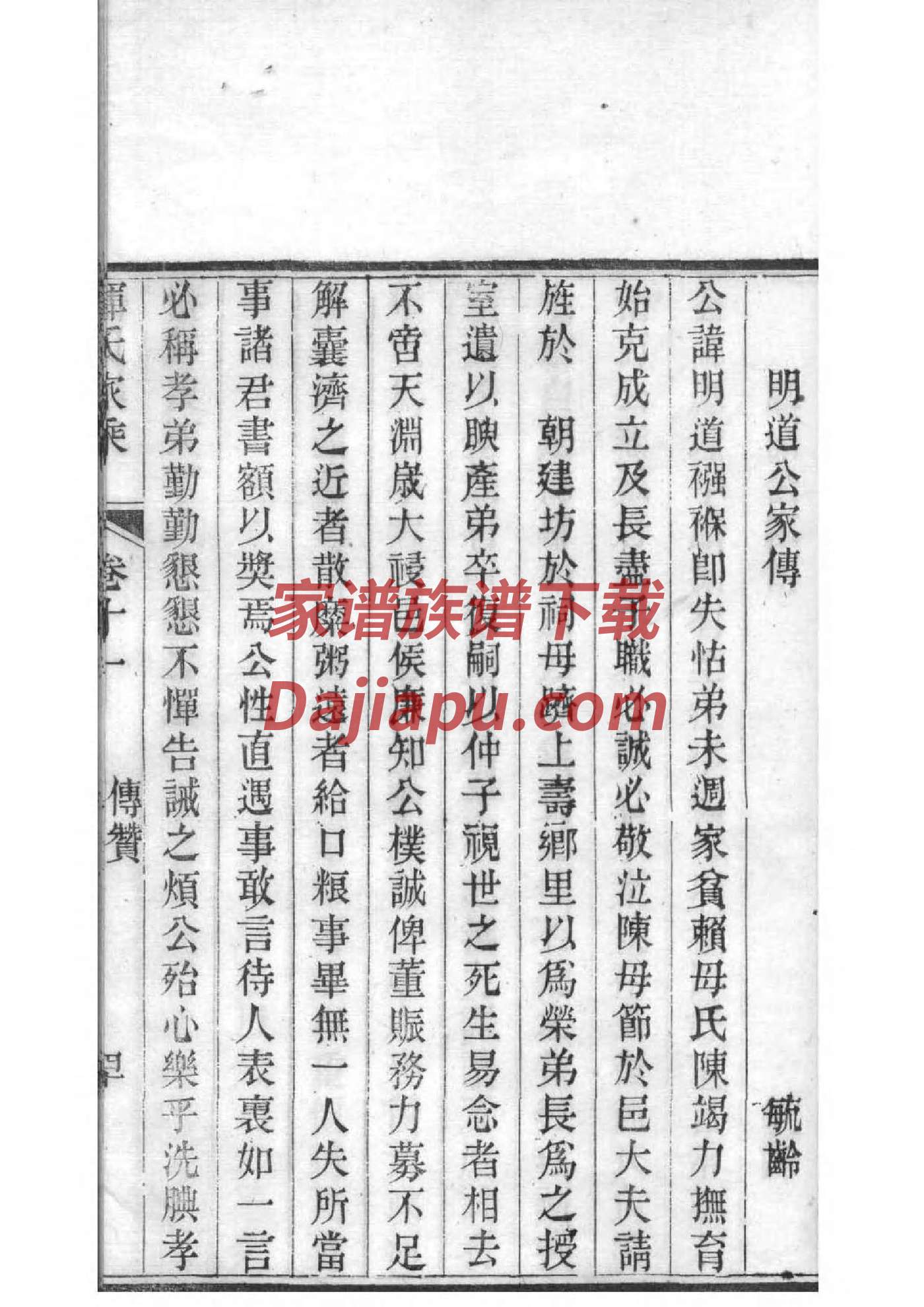文氏族谱在哪里看