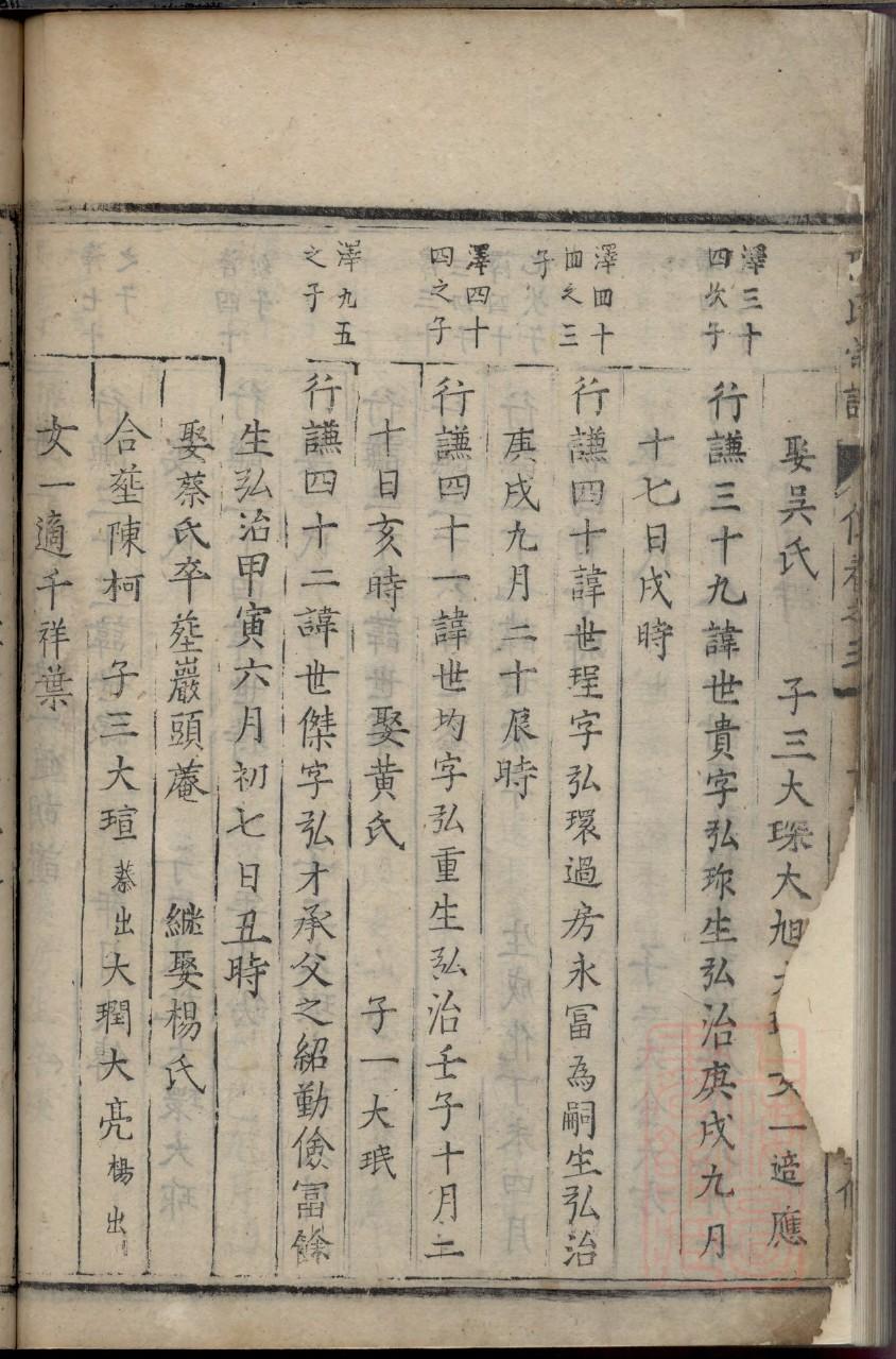 族谱图片