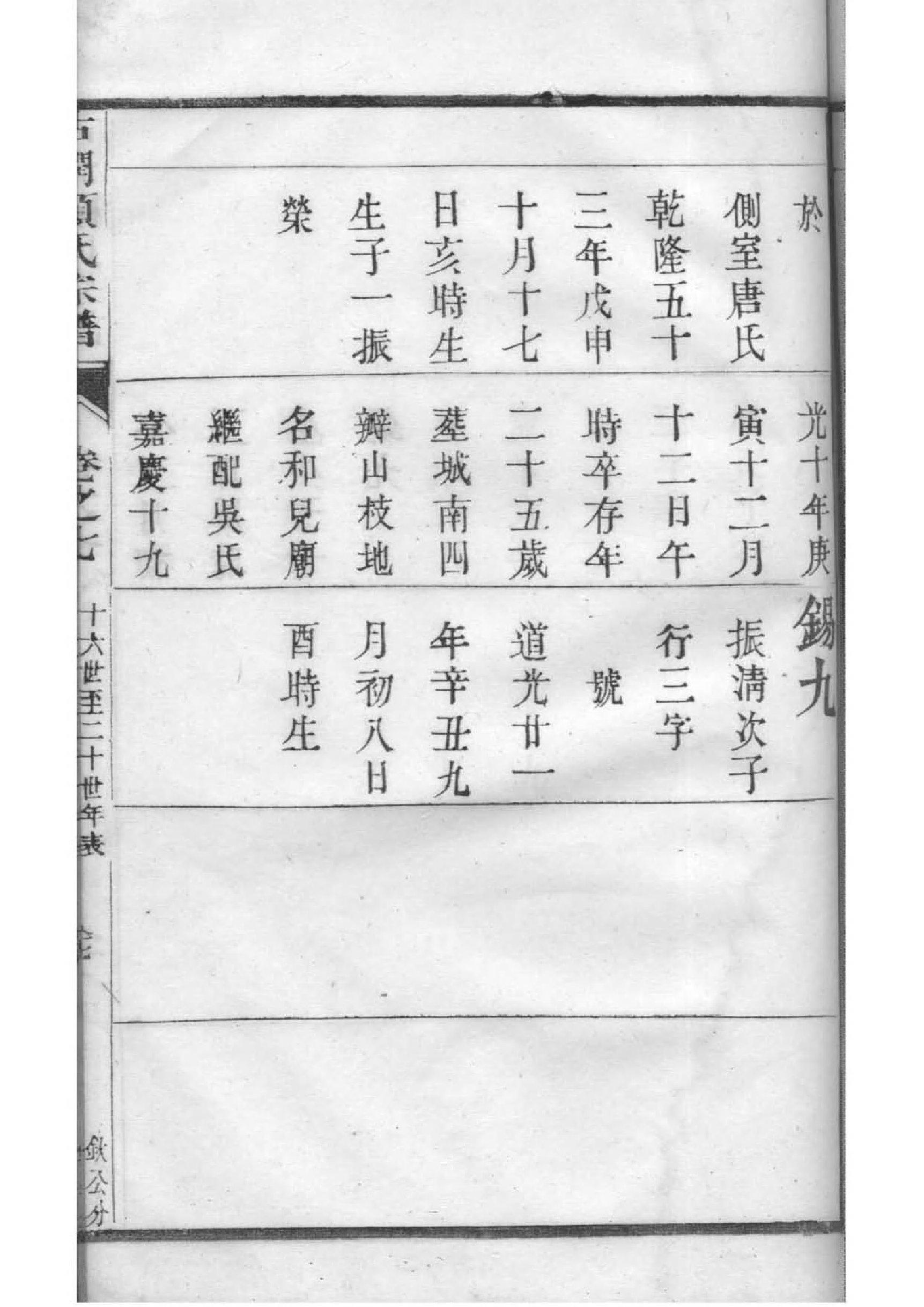 家谱模板电子版