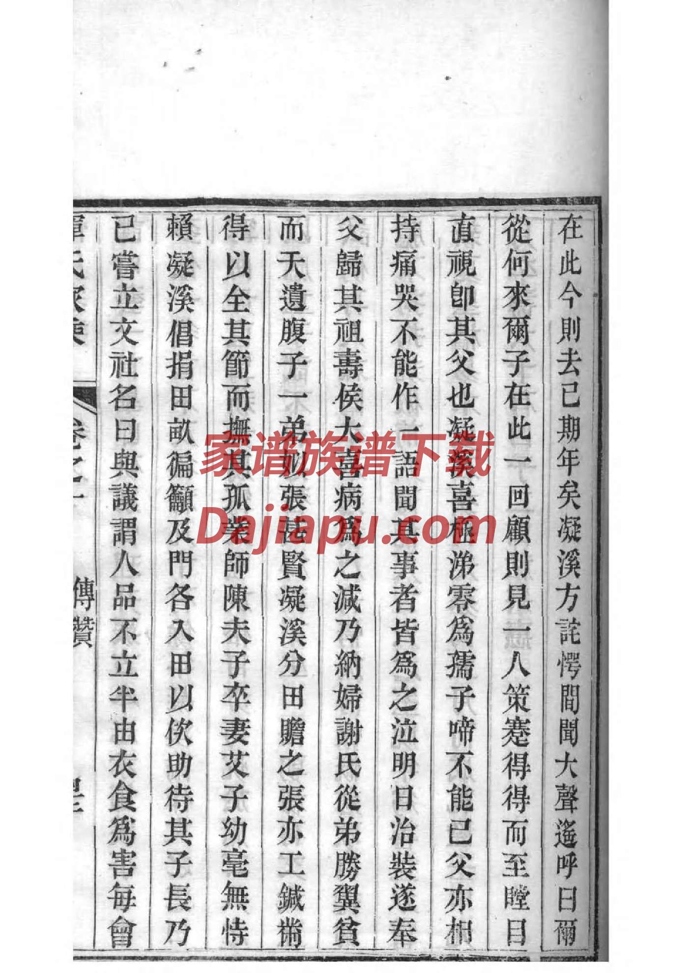 家谱图绘制范本