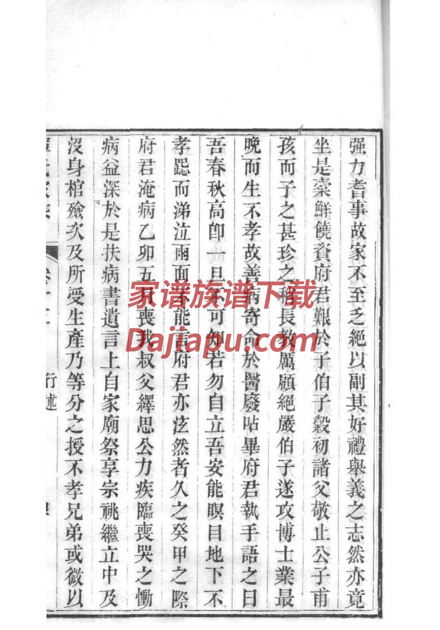 告氏族谱字辈大全