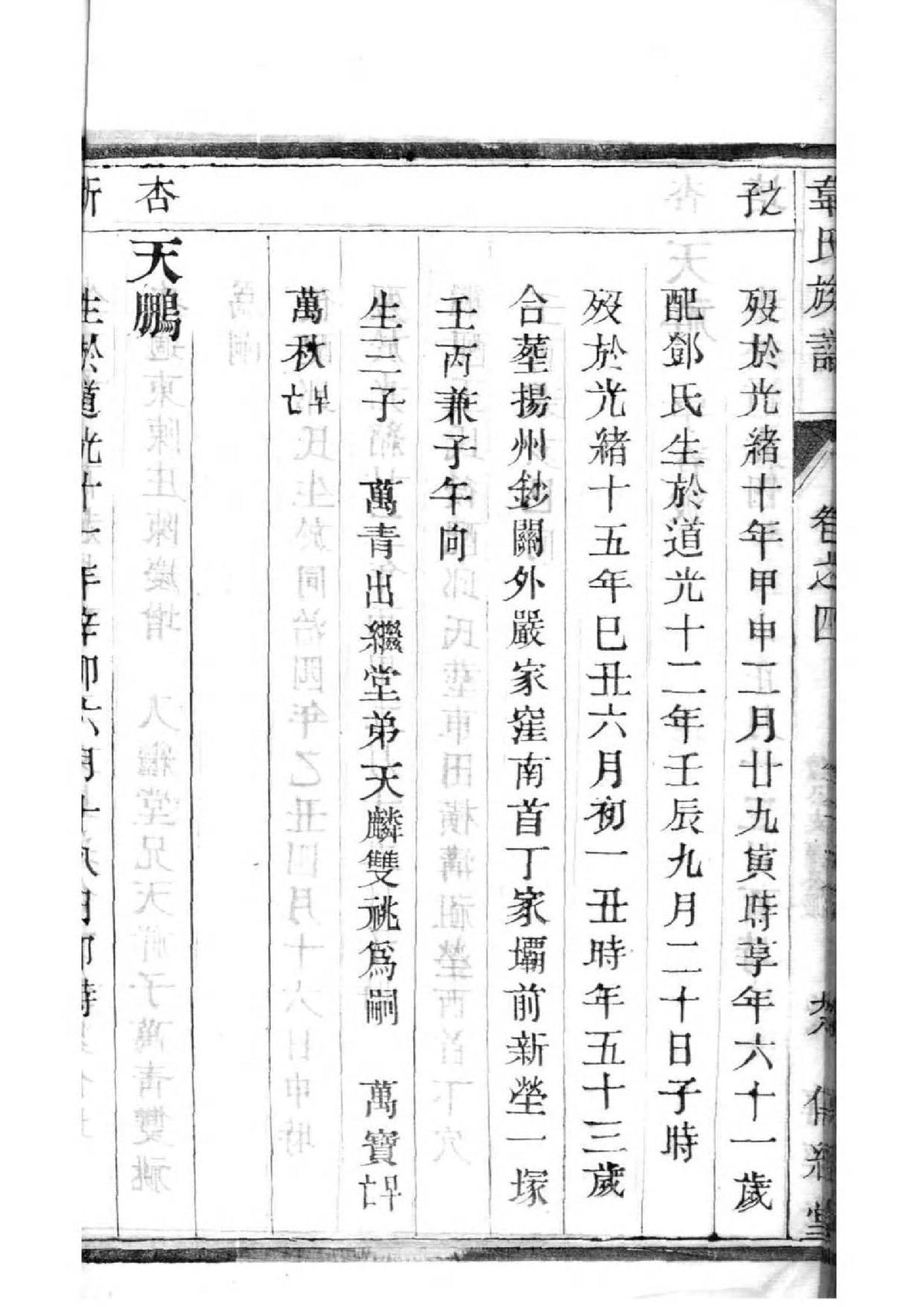 藏氏族谱电子版下载阅读