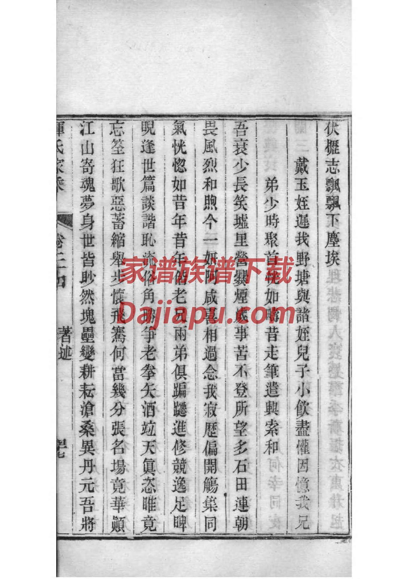我的家谱