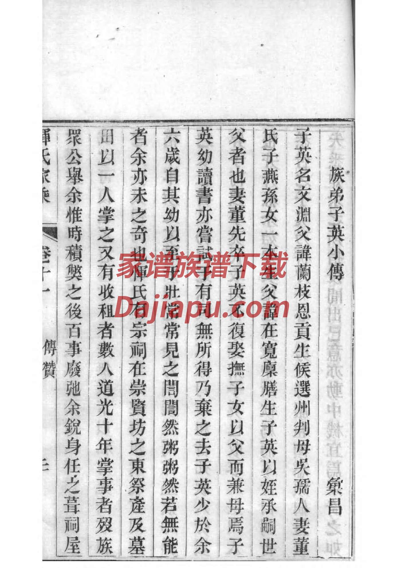 王氏族谱网