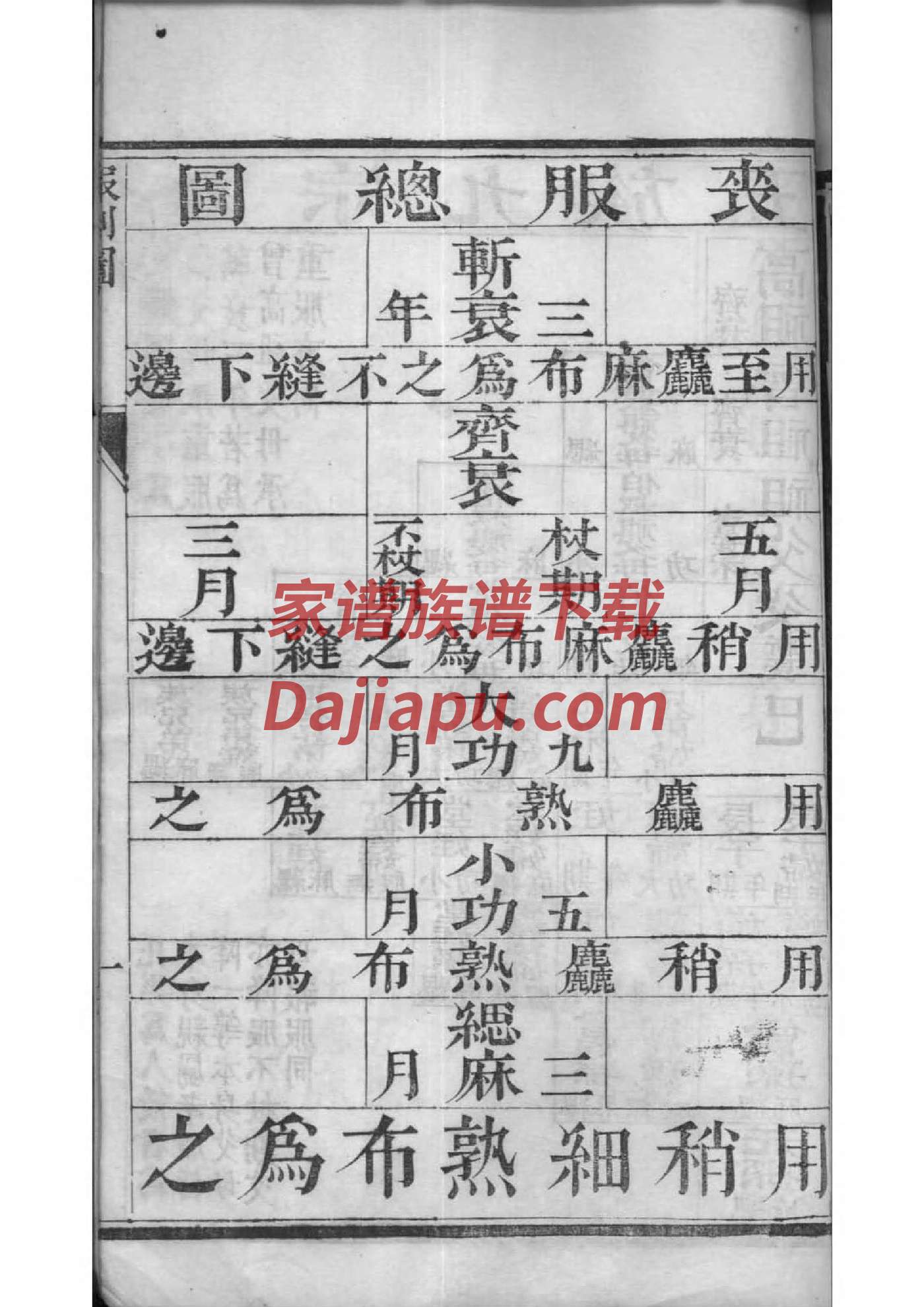 家谱管理系统源码