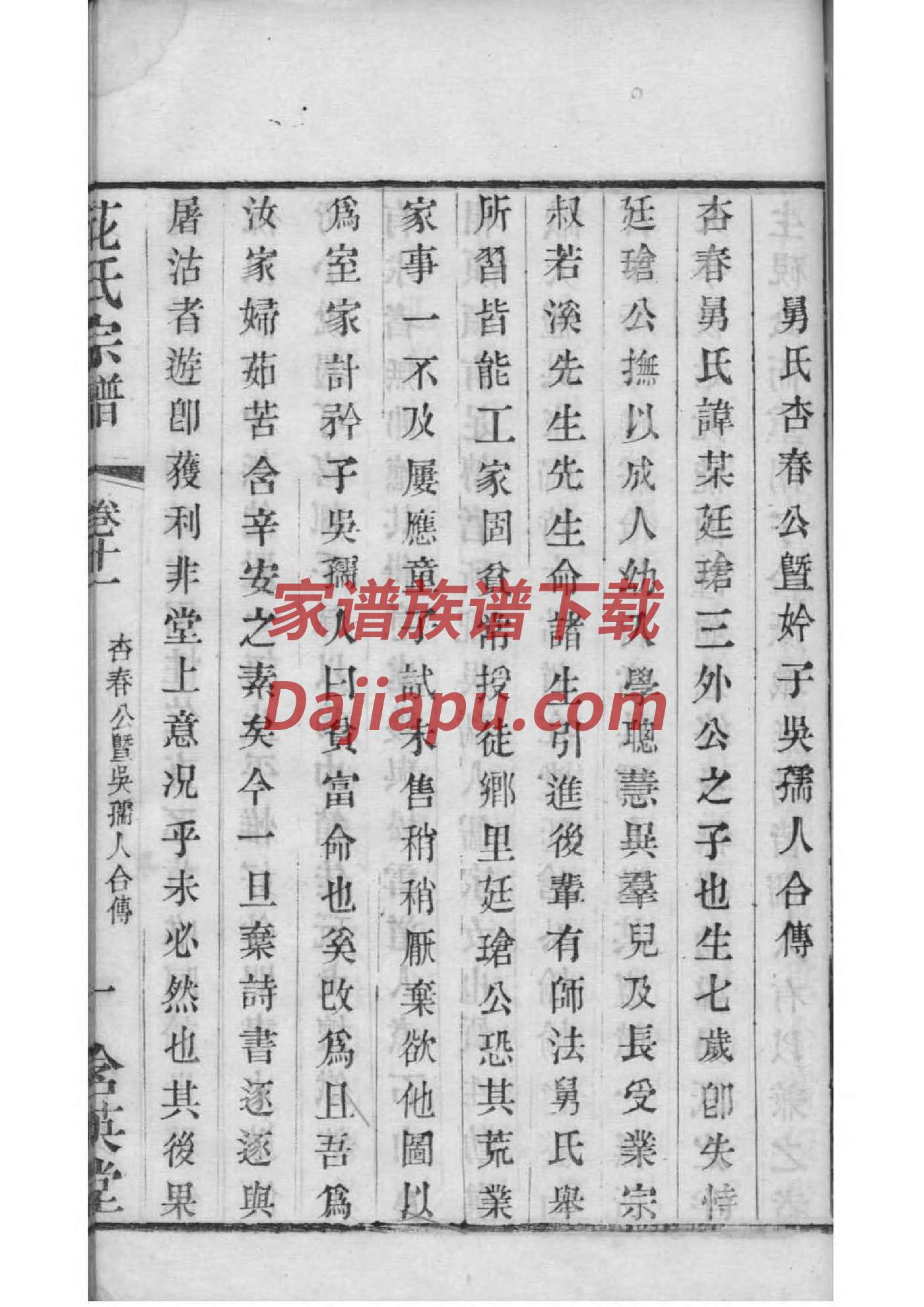孙子辈分家谱