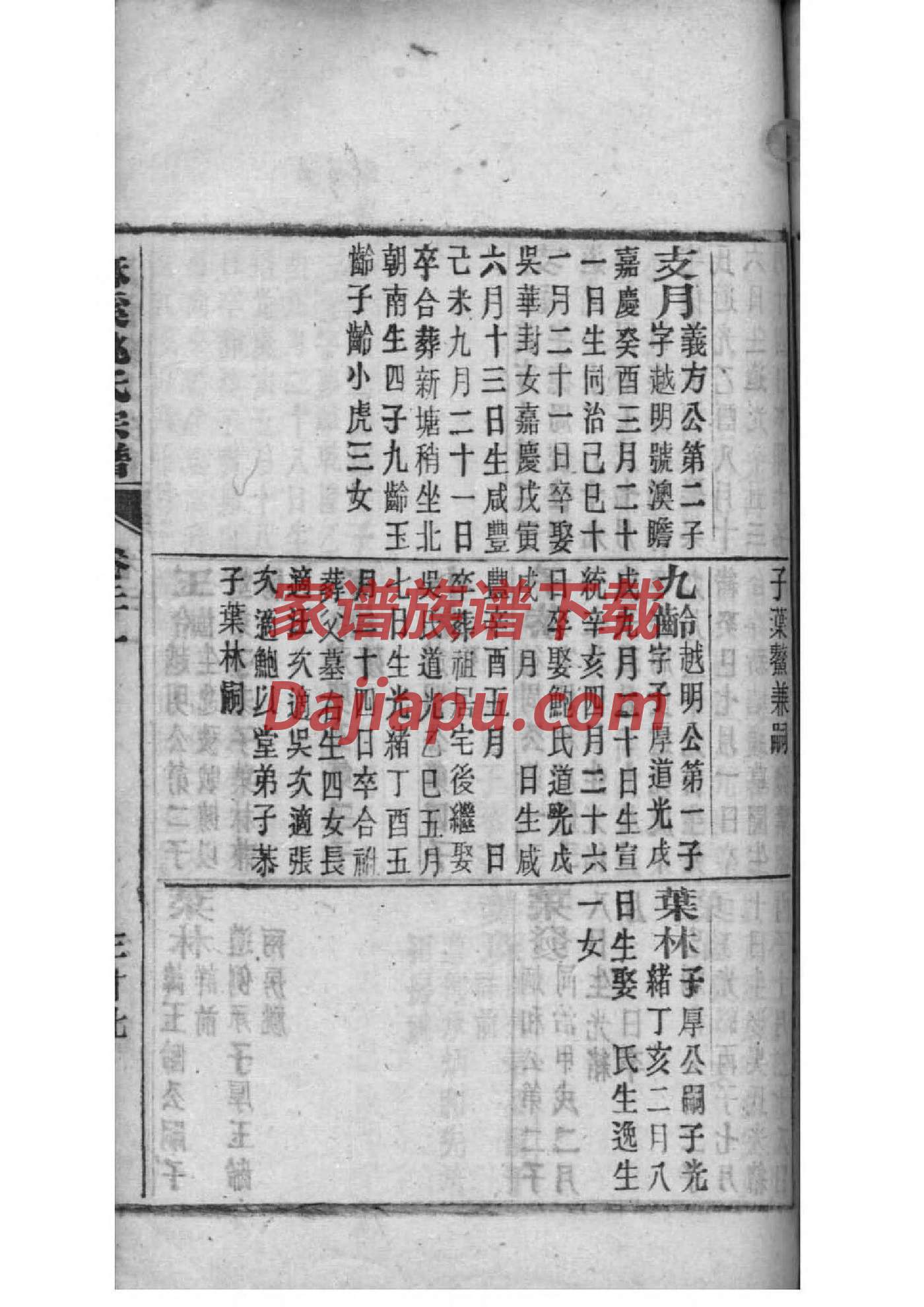 祖氏族谱字辈大全