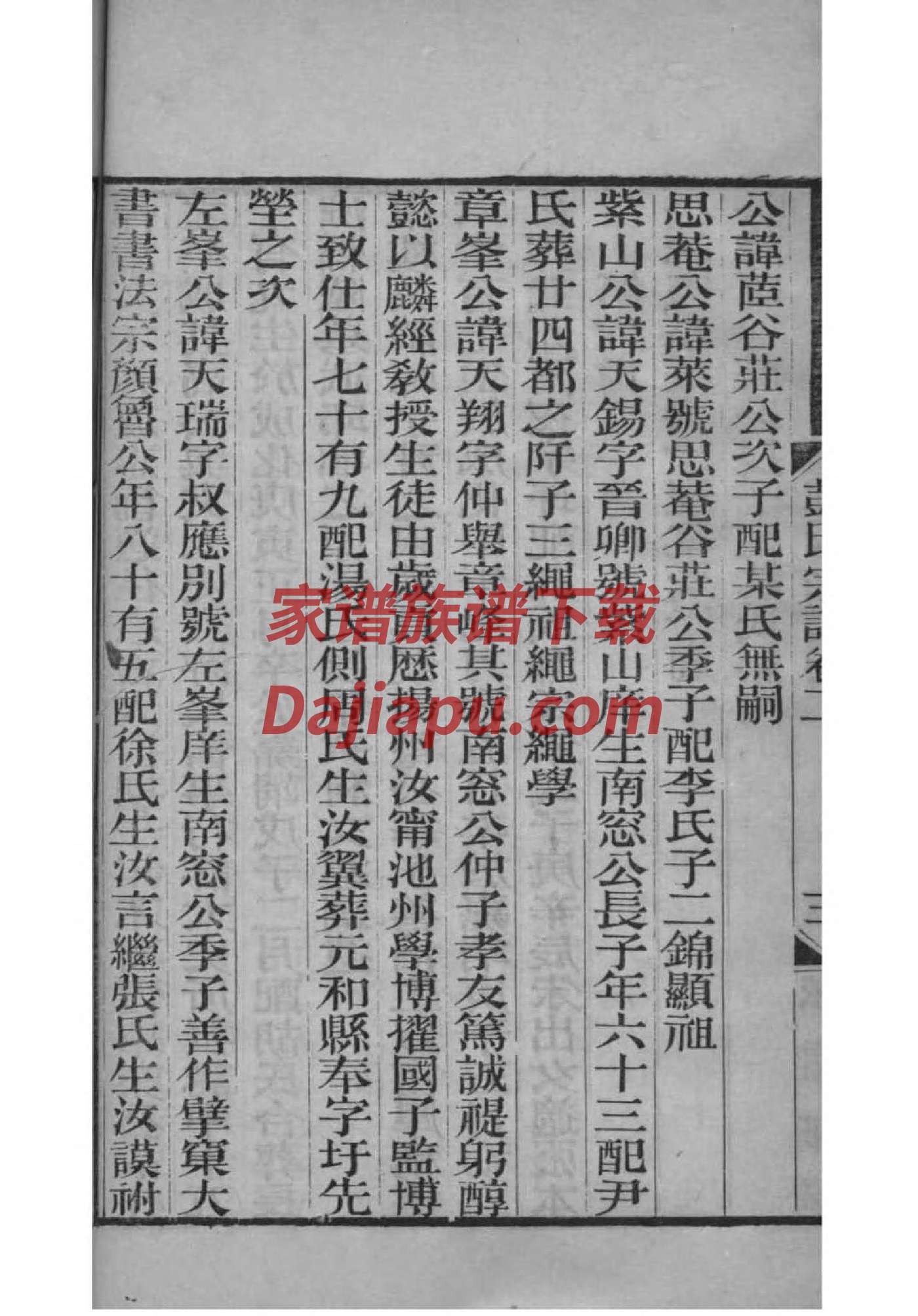 能姓辈分排行世系表