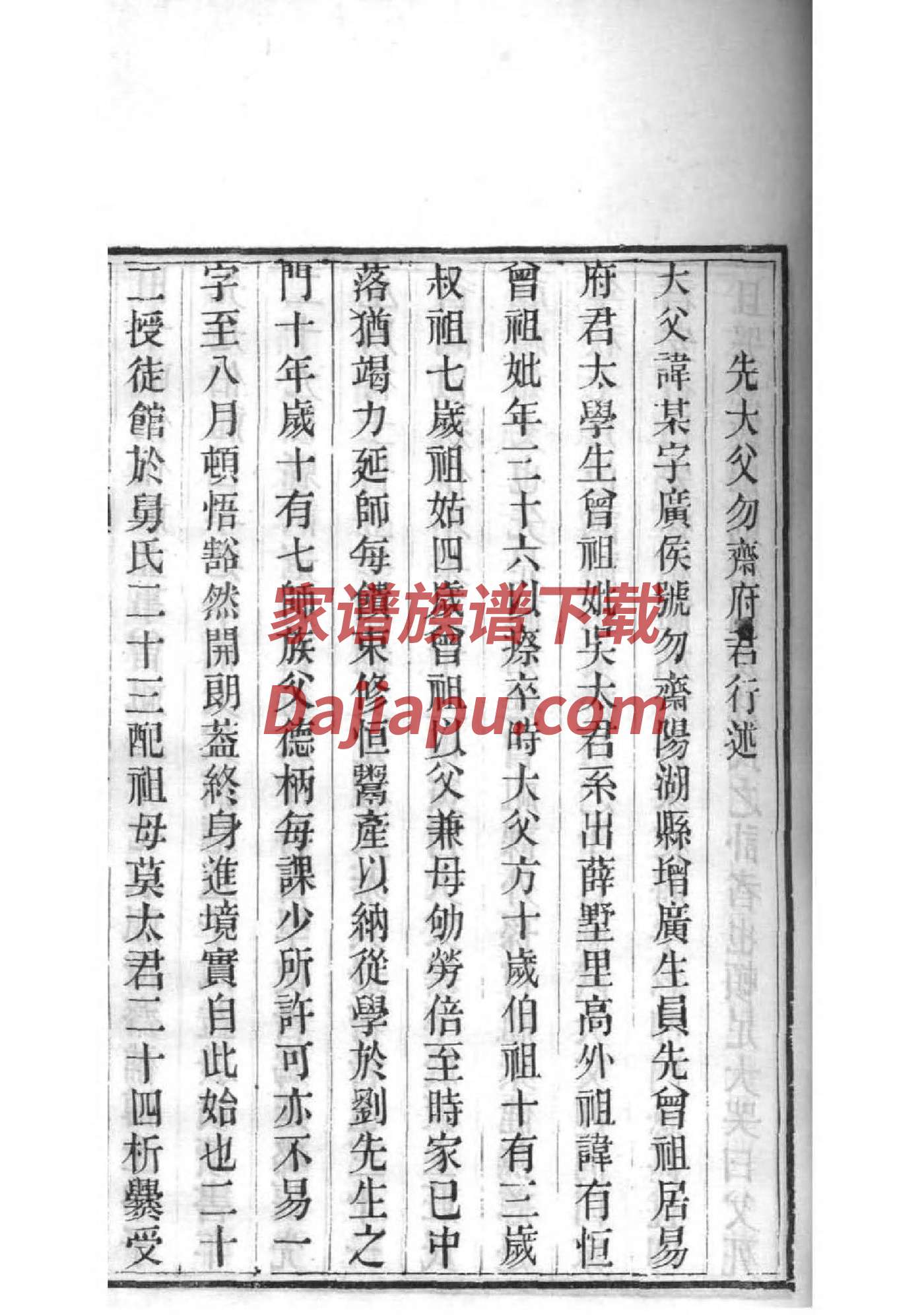 明朝皇帝家谱图