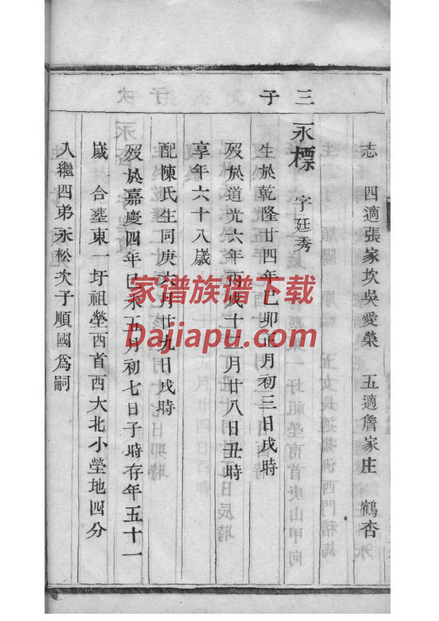 环姓族谱字辈排行