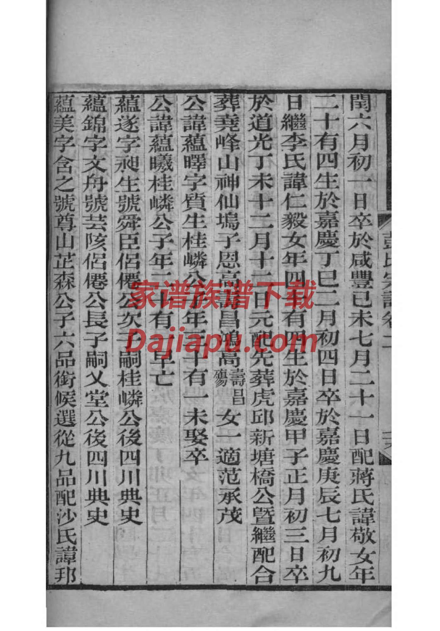 叶县张庄张氏家谱