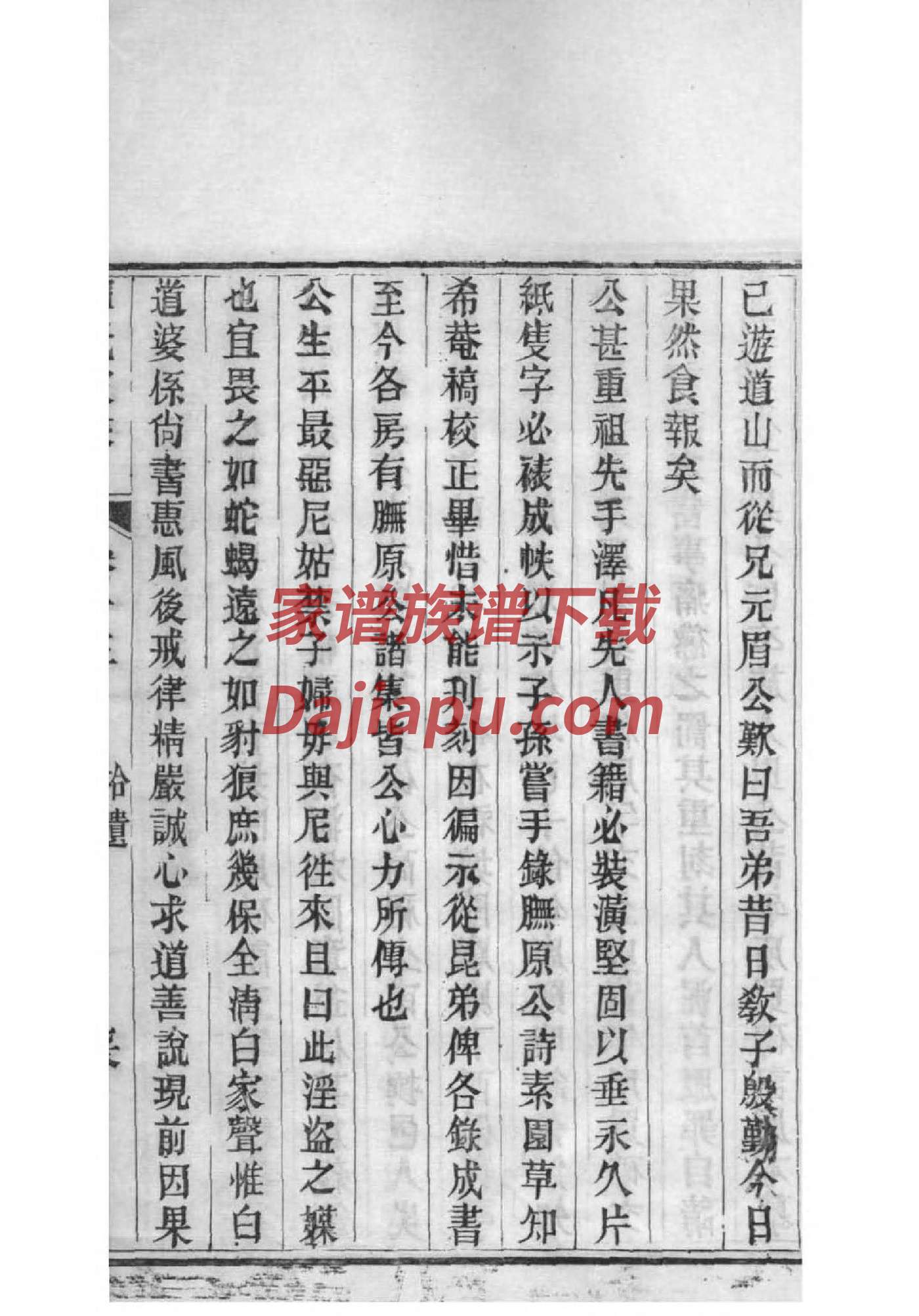 索姓族谱字辈排行