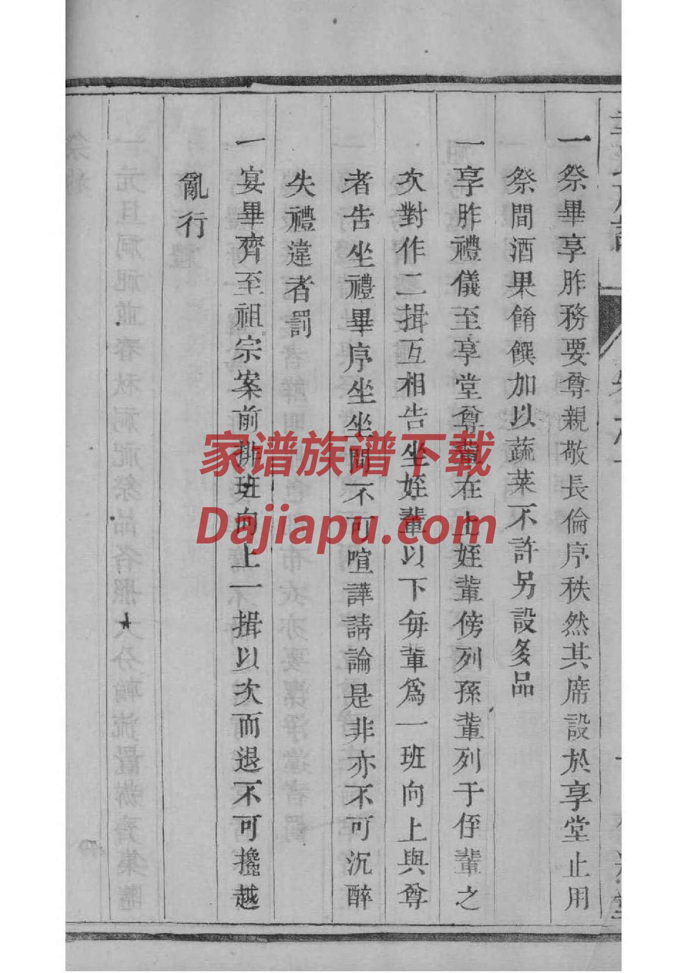 郑念家谱