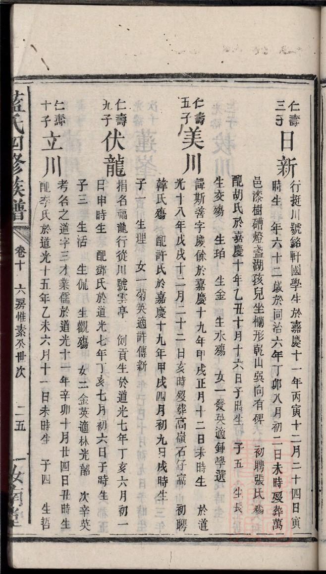 空白家谱本推荐